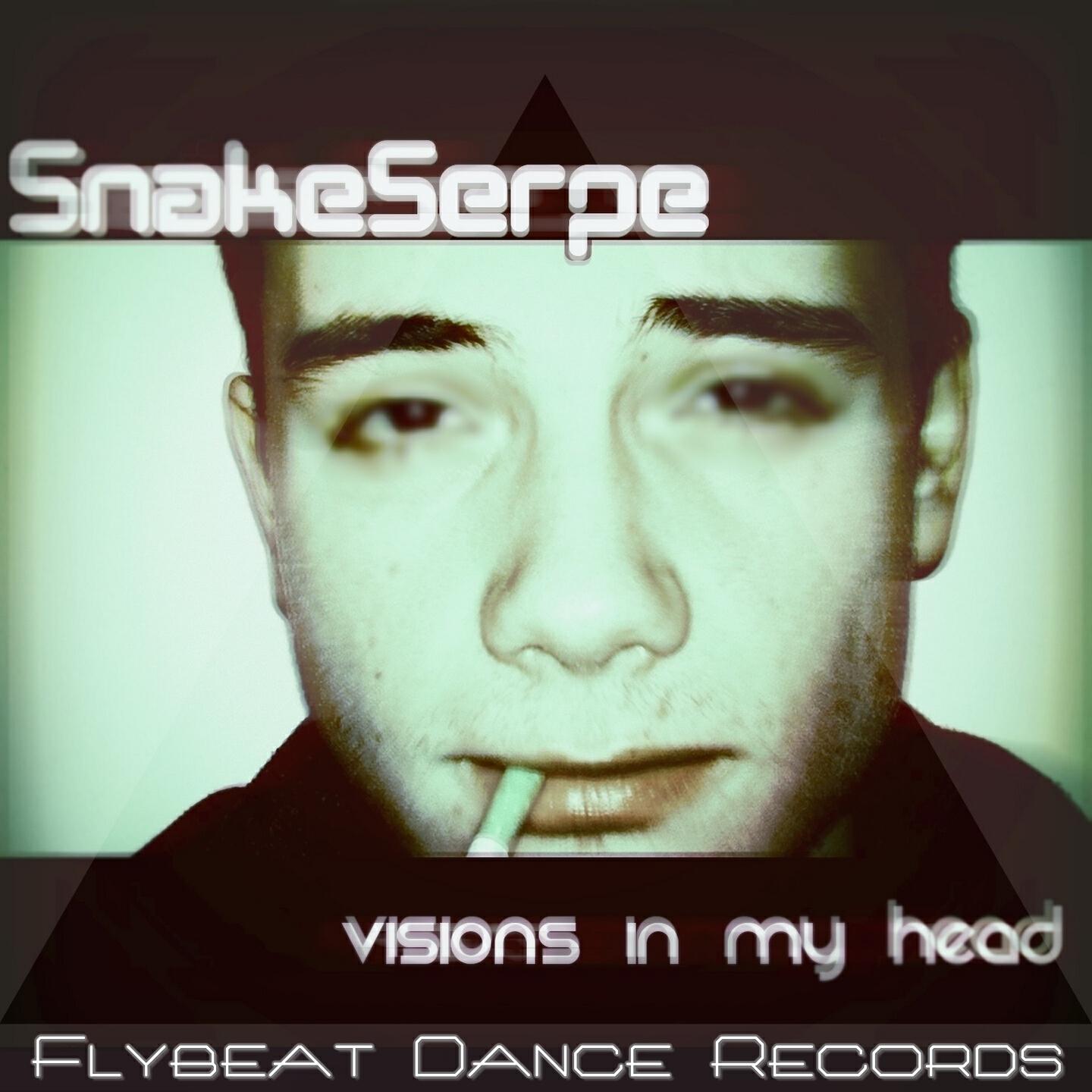 Релиз Visions in My Head