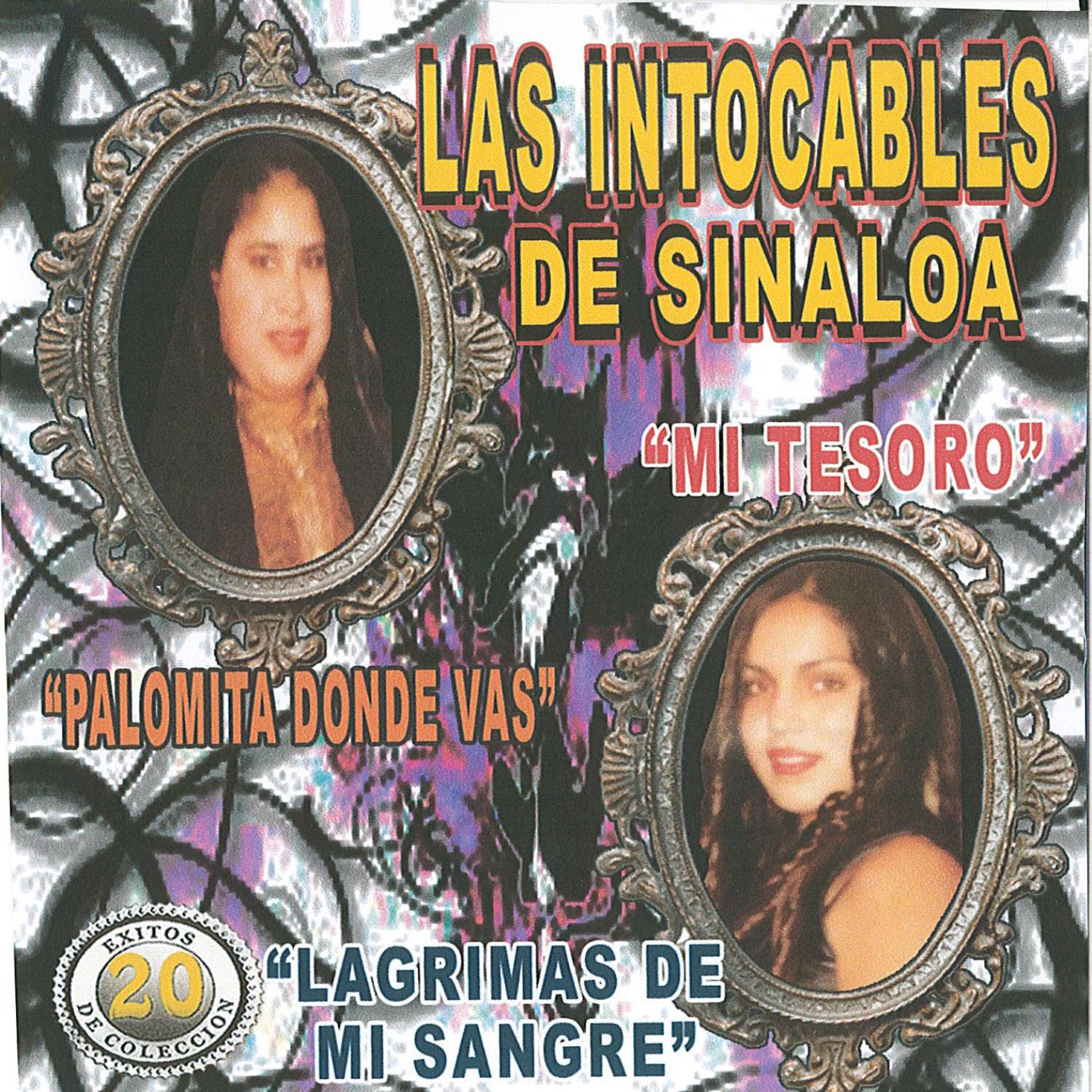 Релиз 20 Exitos de Coleccion Lagrimas de Sangre
