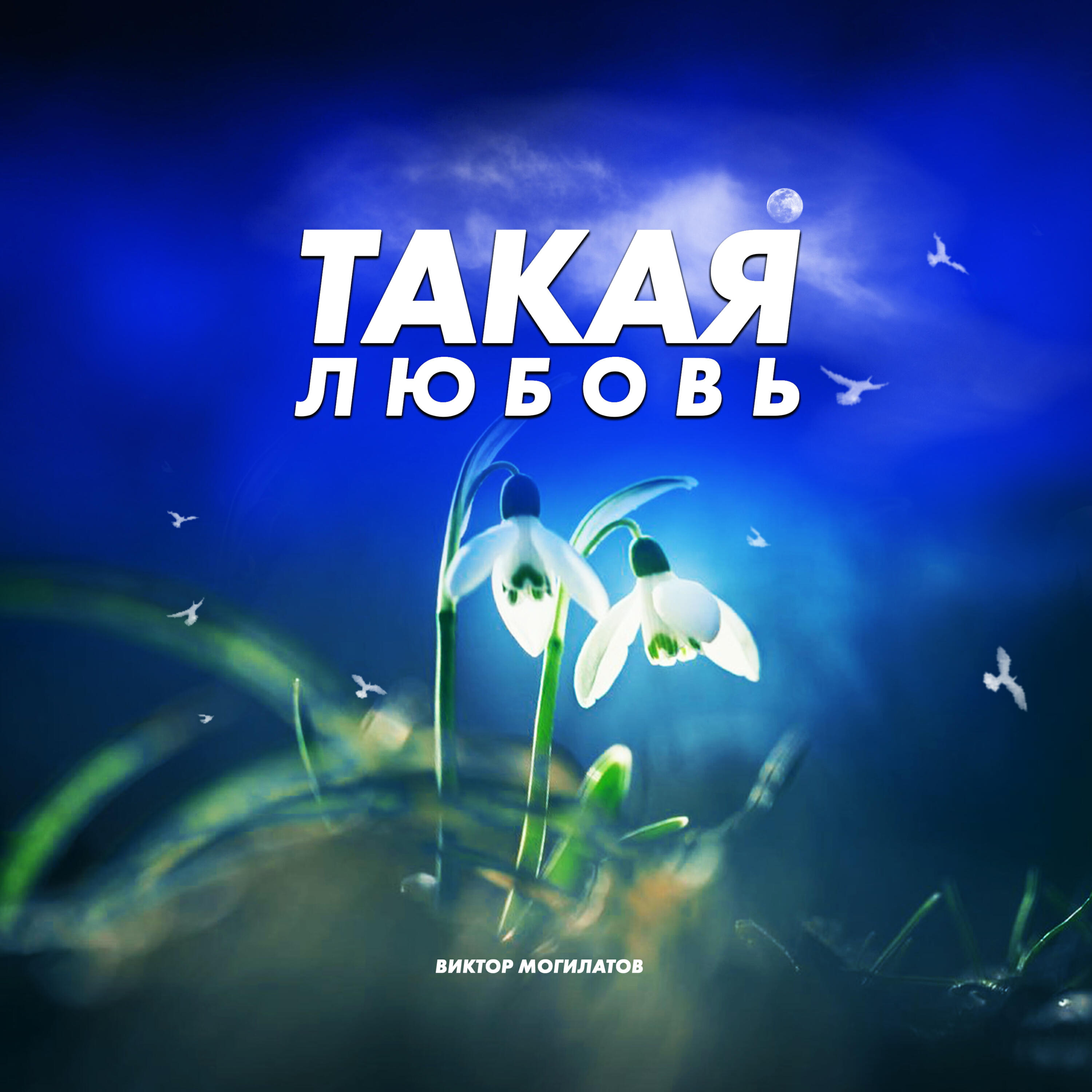 Релиз Такая любовь