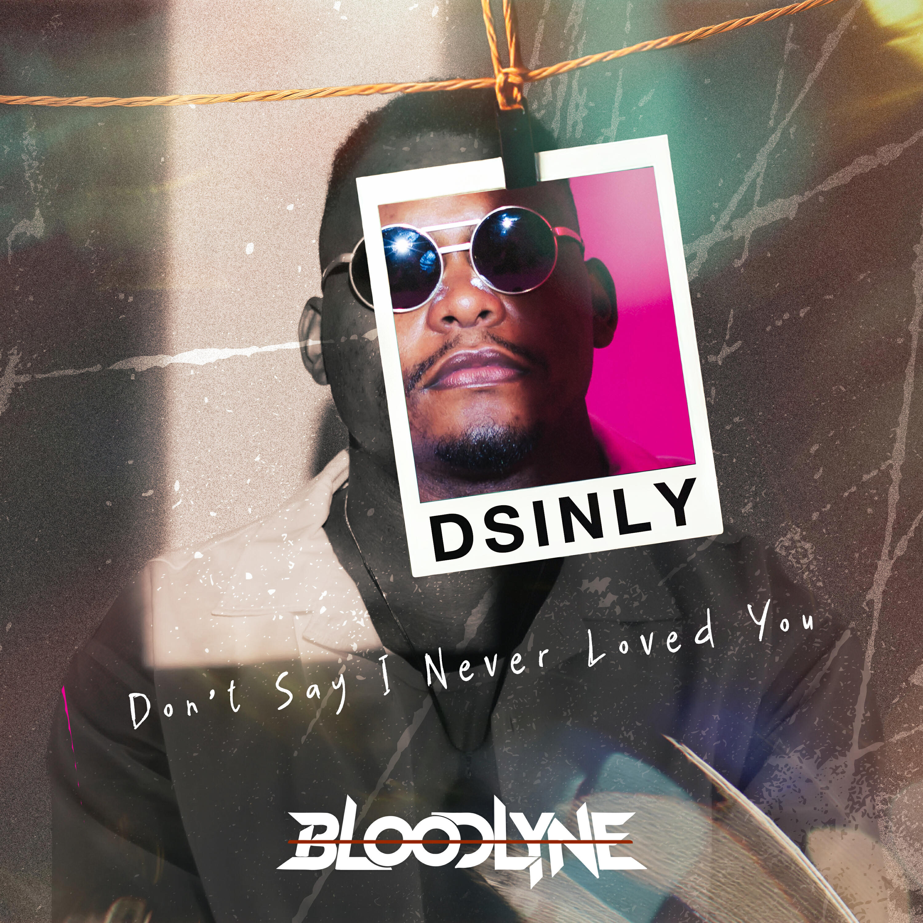 Релиз Don't Say I Never Loved You (DSINLY)