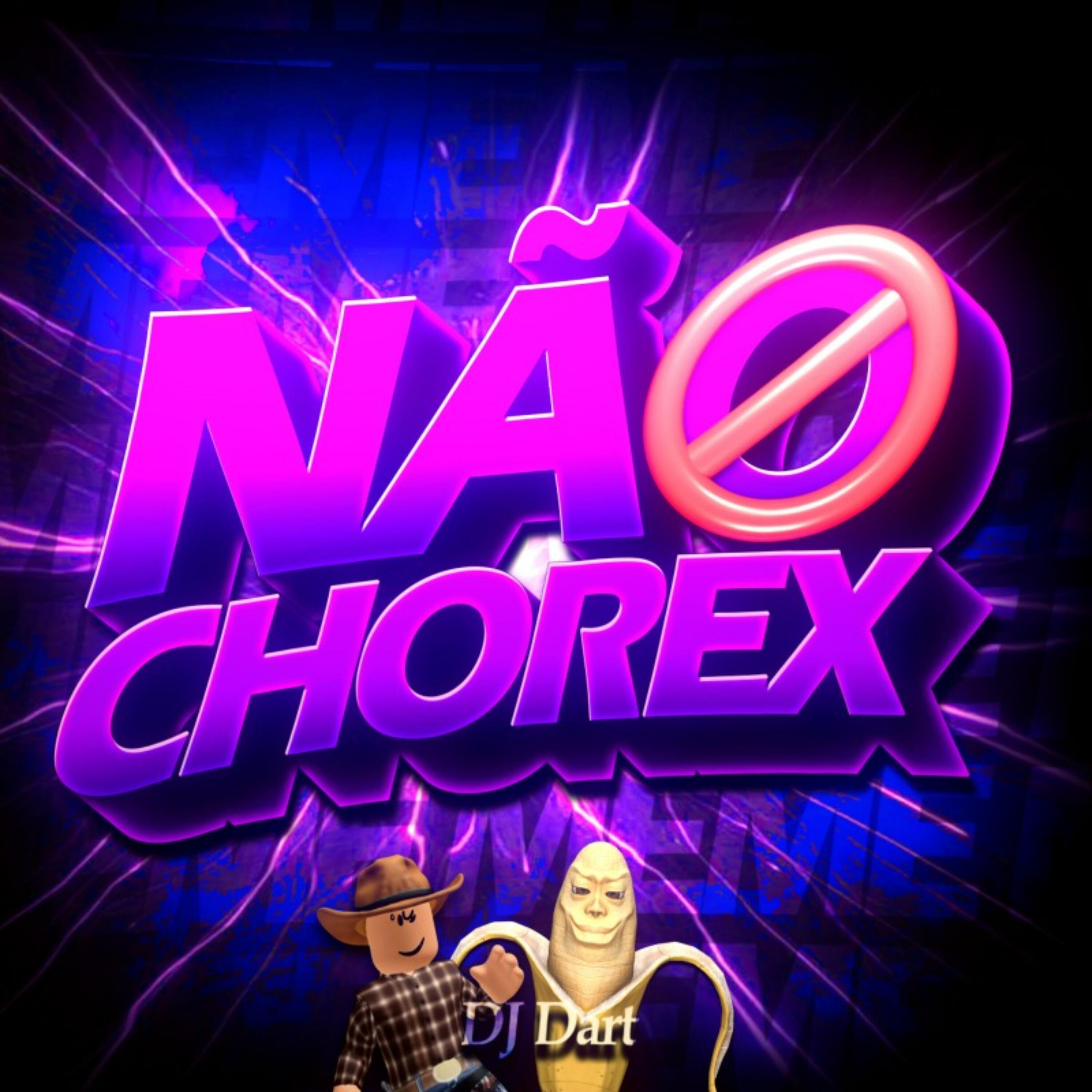 Релиз FUNK NÃO CHORAX