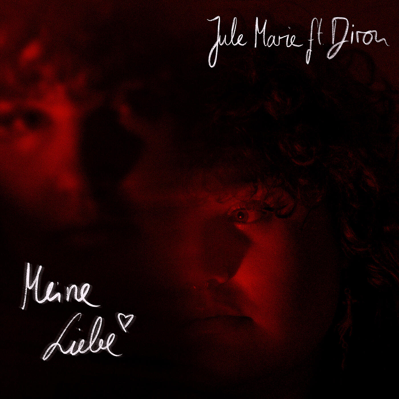 Релиз Meine Liebe