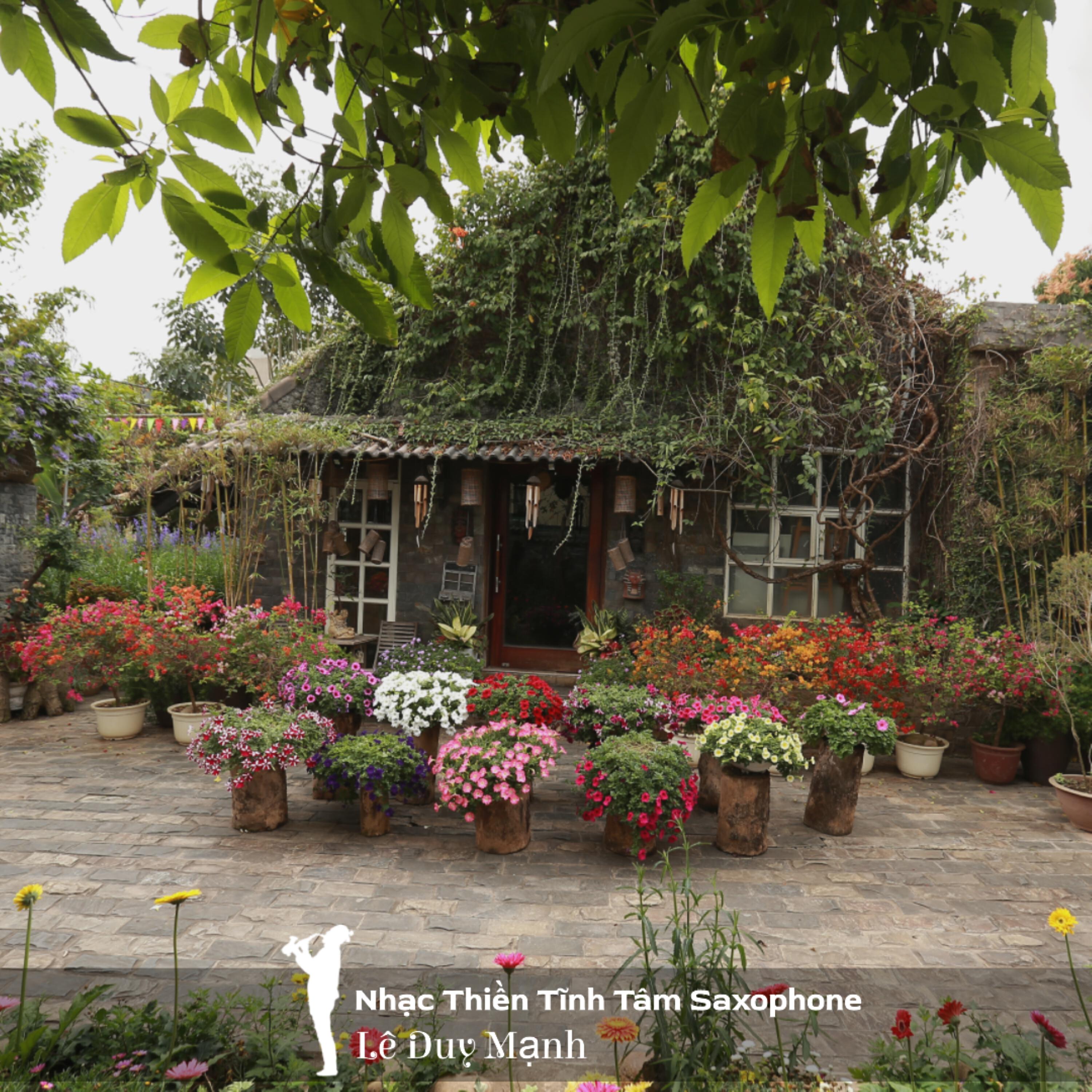 Релиз Nhạc thiền tĩnh tâm saxophone