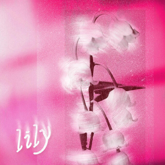 Релиз Lily