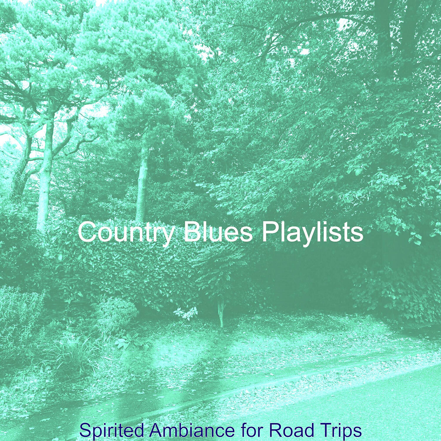 Country Blues Playlists