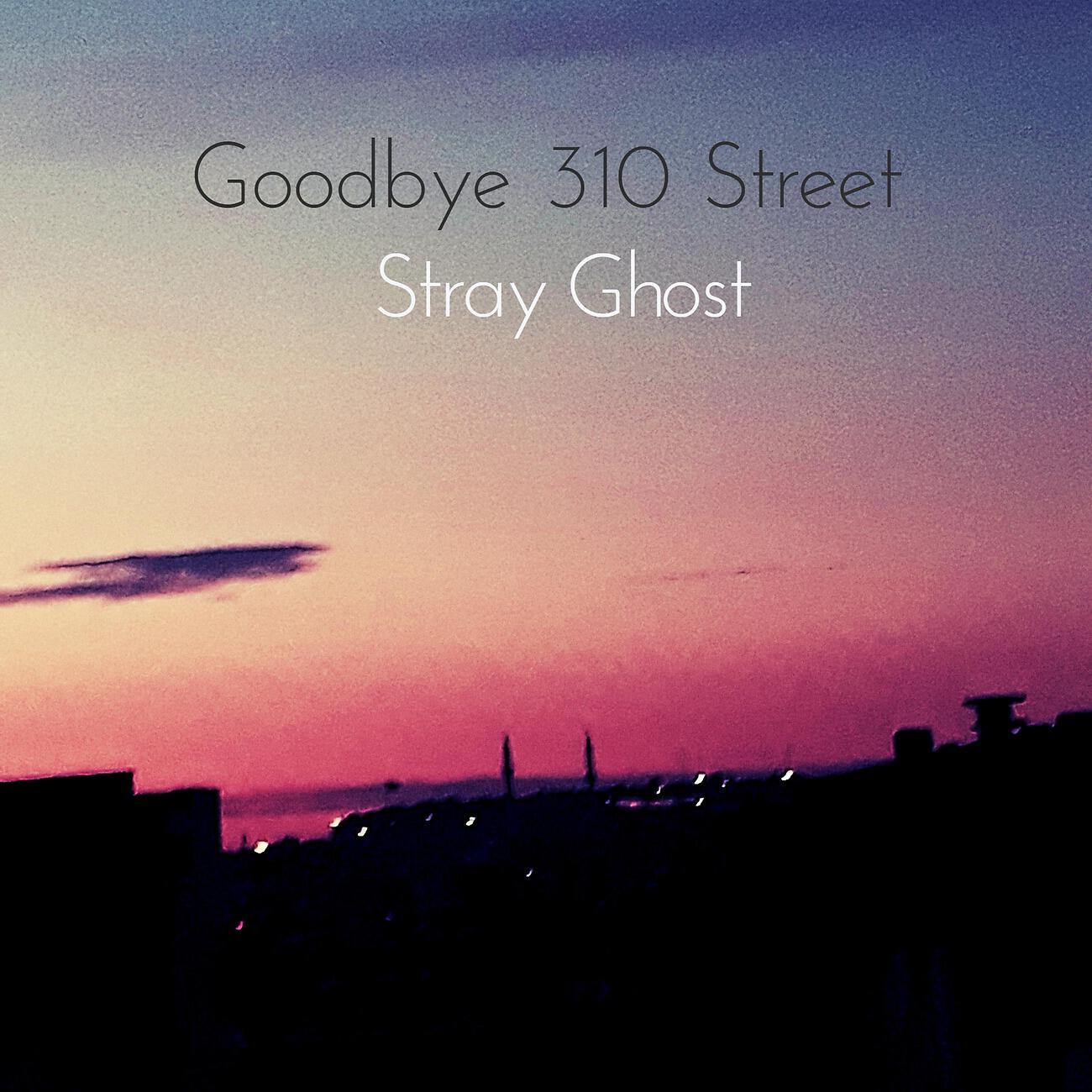 Релиз Goodbye 310 Street