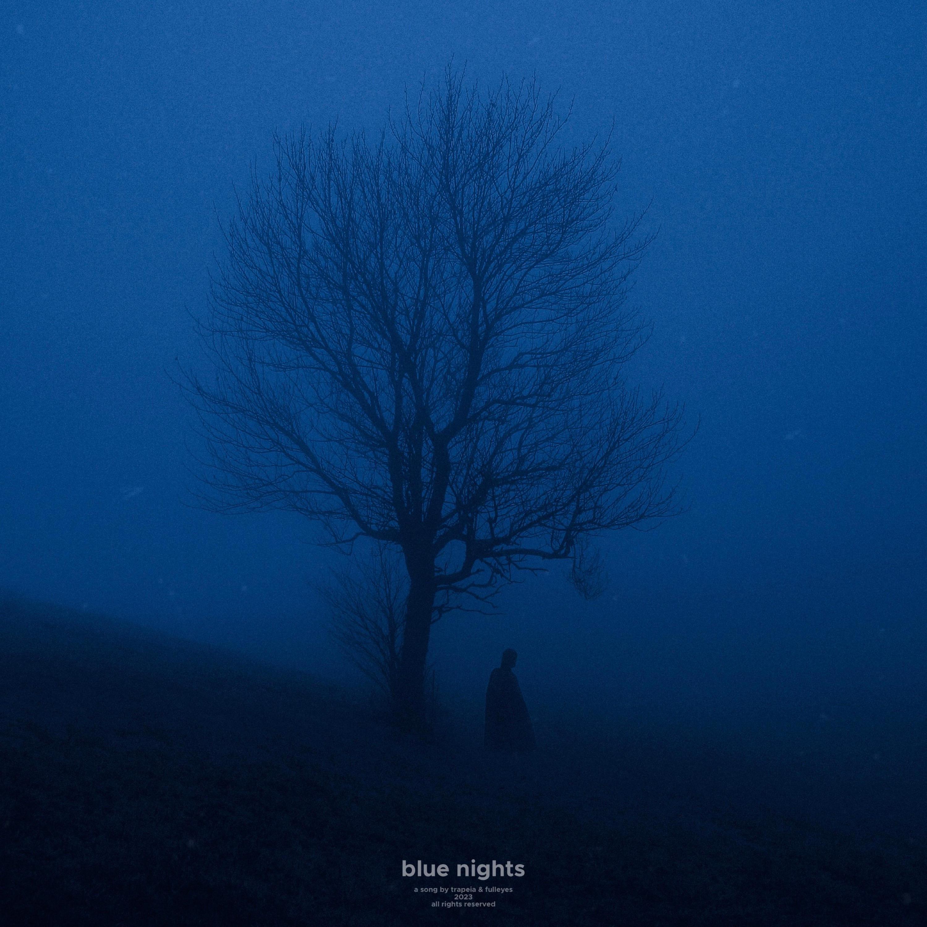 Релиз blue nights