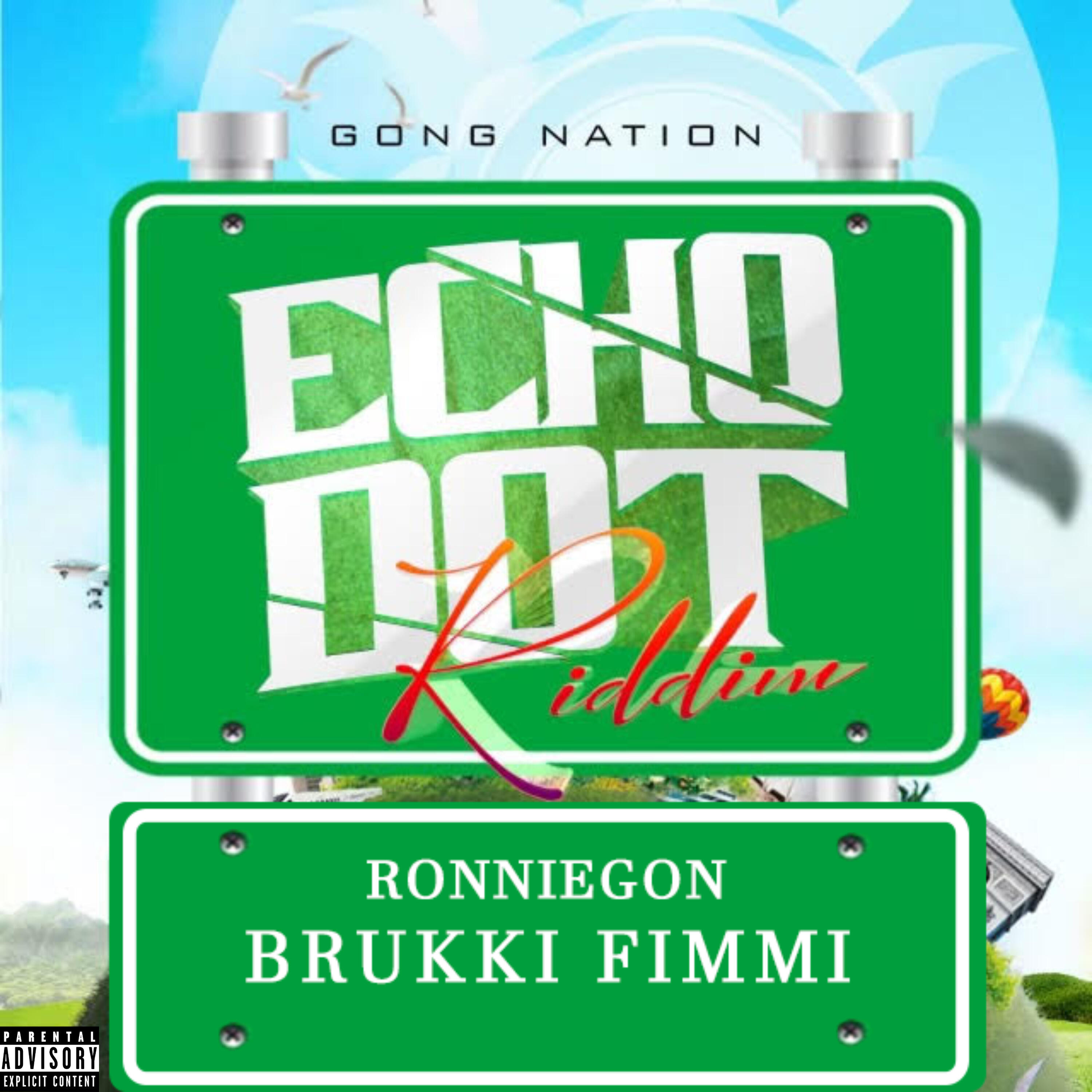 Релиз Brukki Fimmi