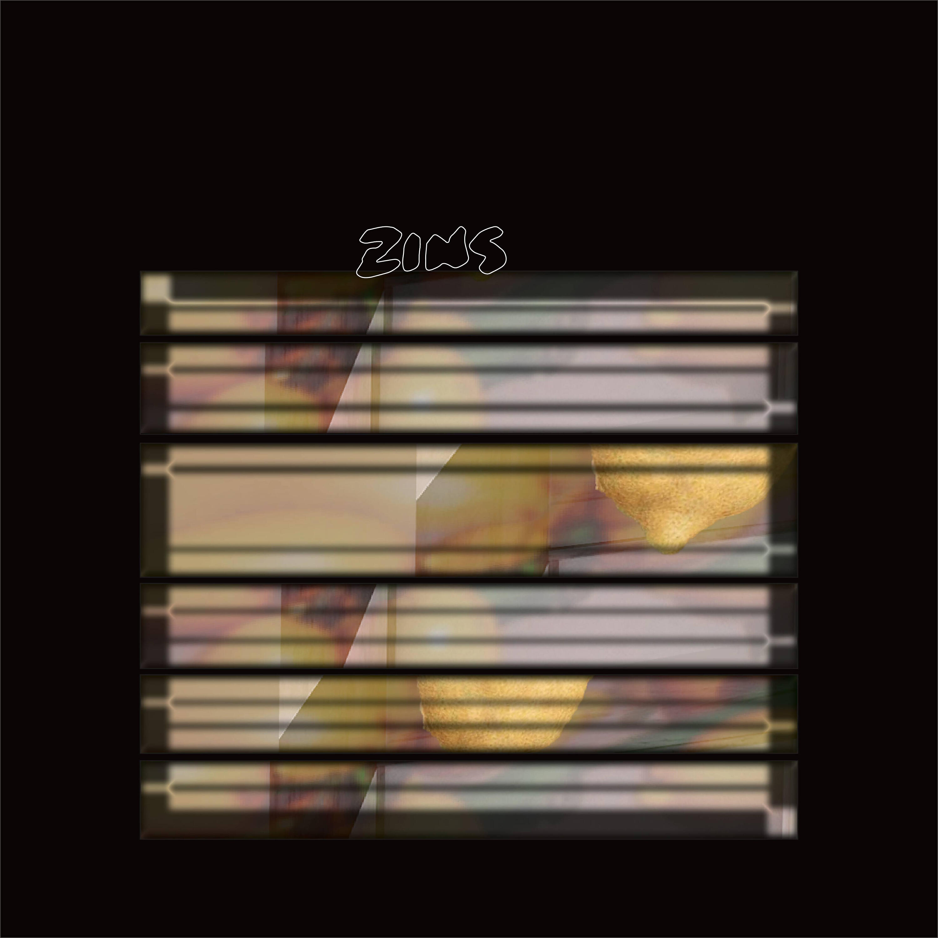 Релиз Zins