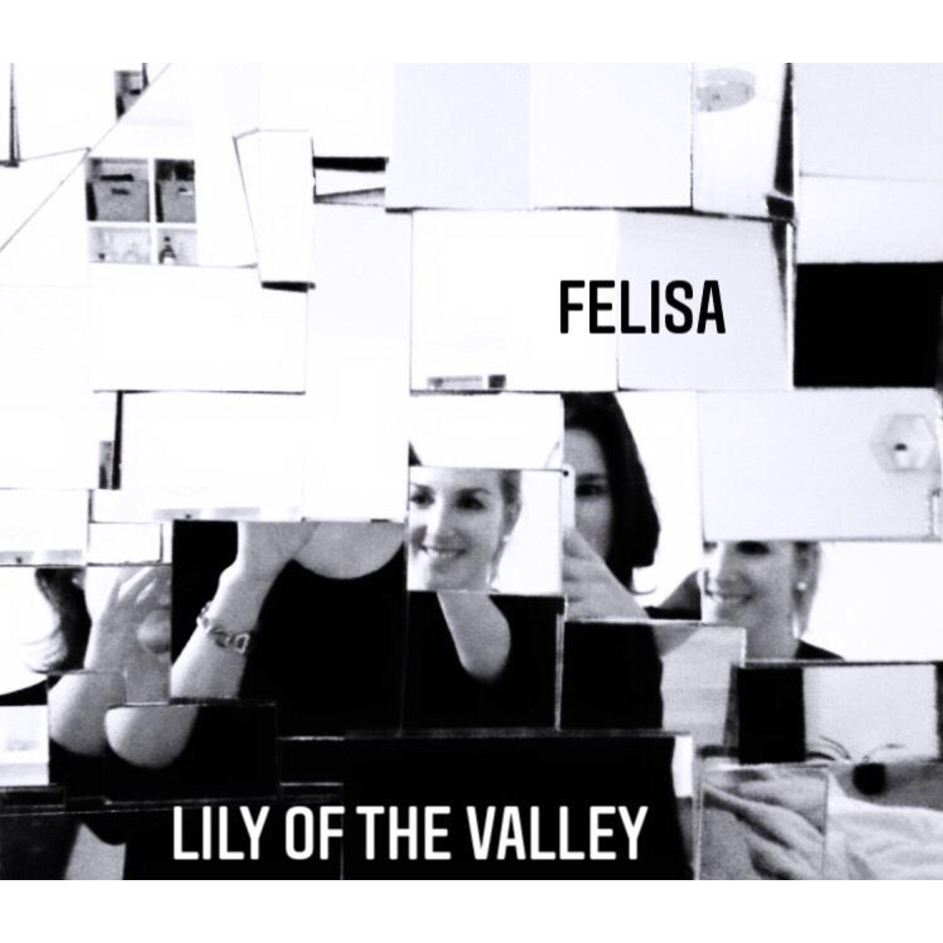 Релиз Felisa