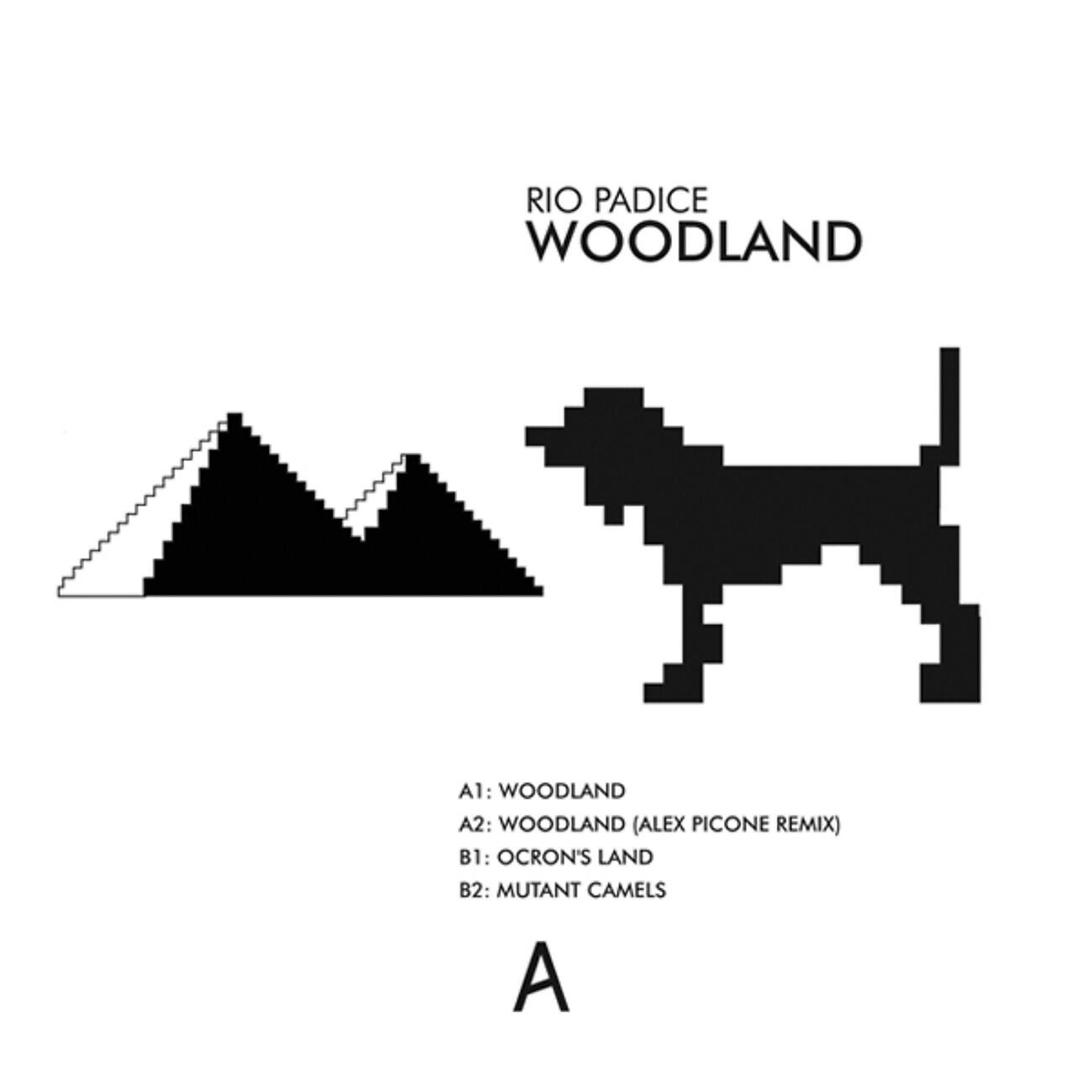 Релиз Woodland