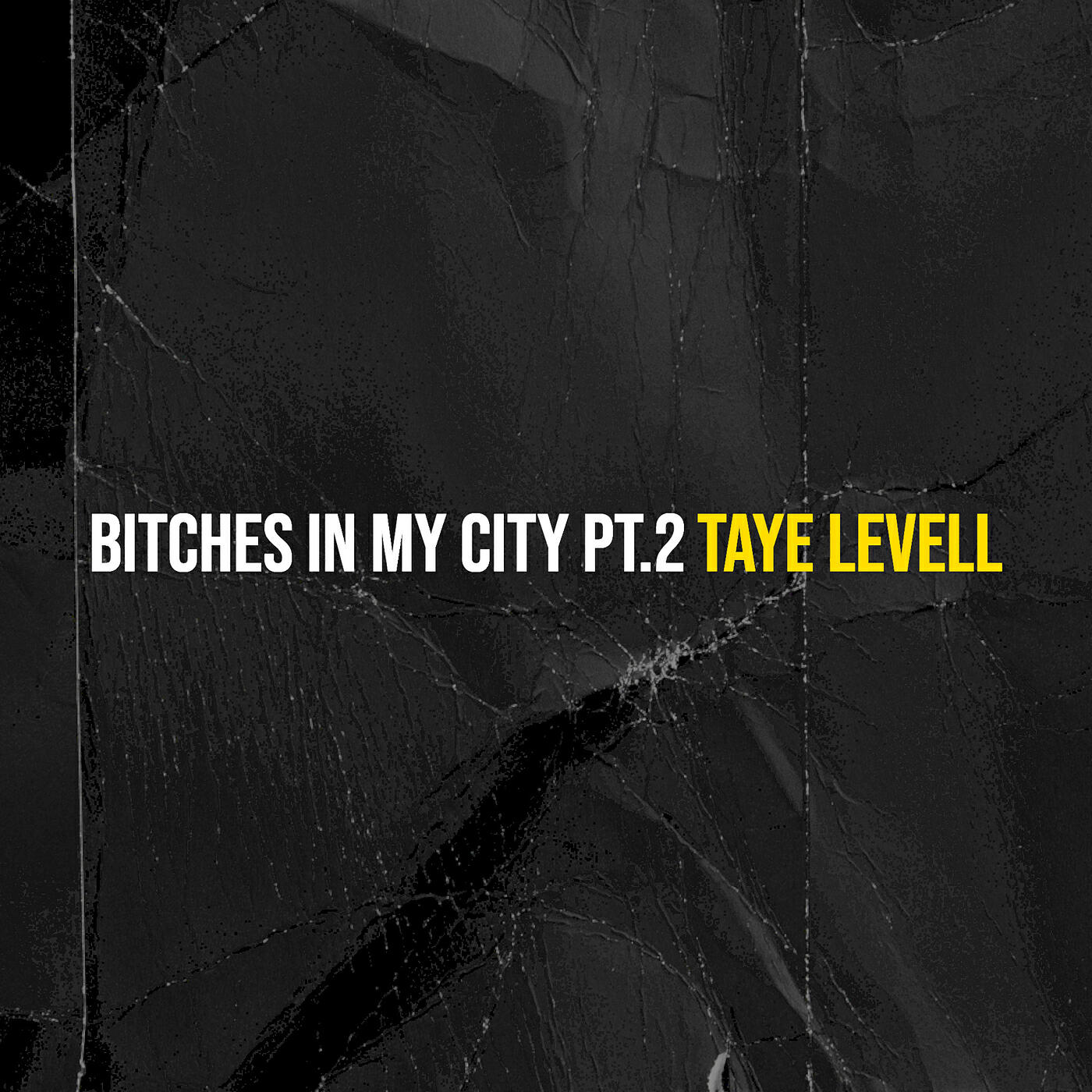 Релиз Bitches in My City, Pt.2