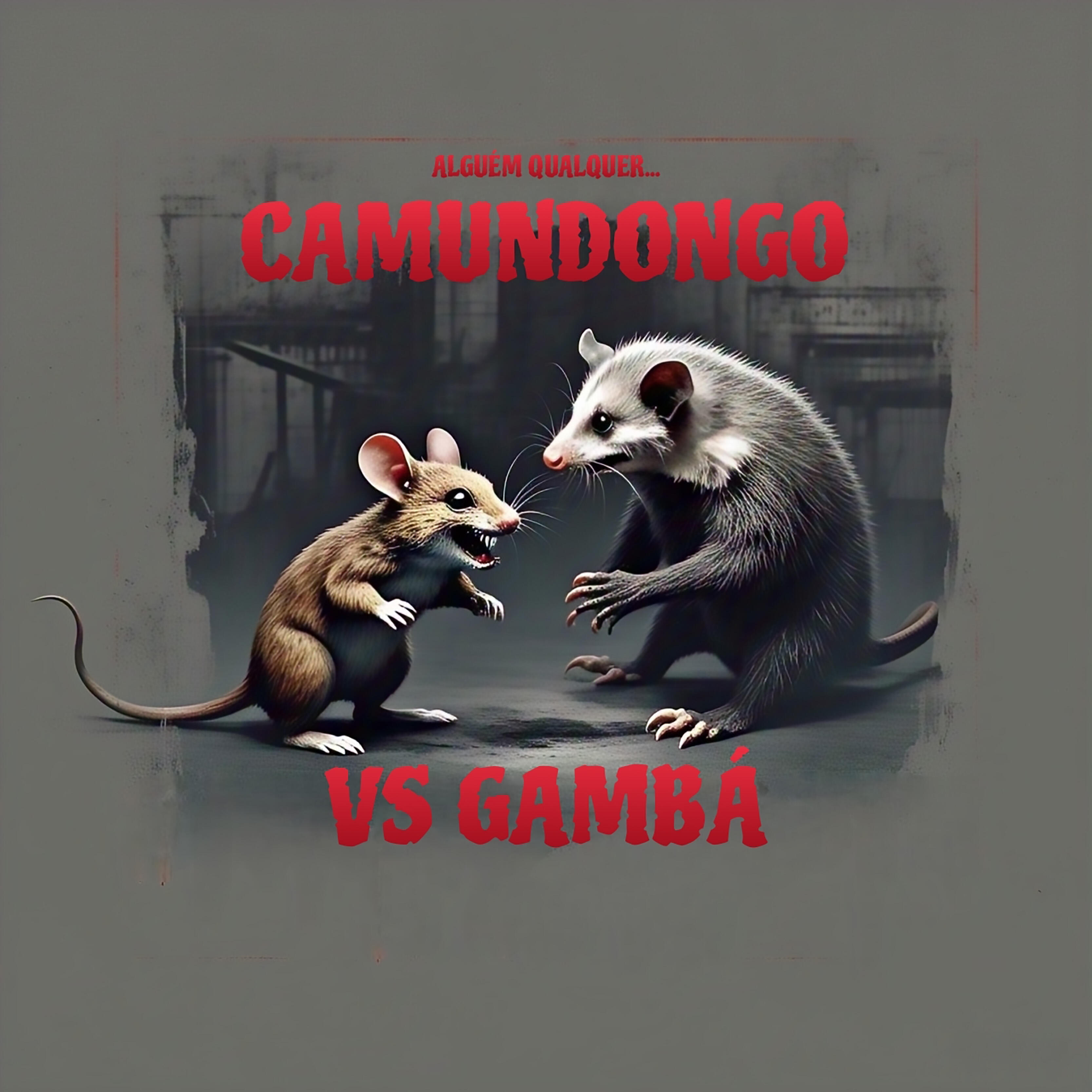 Релиз CAMUNDONGO vs. GAMBÁ