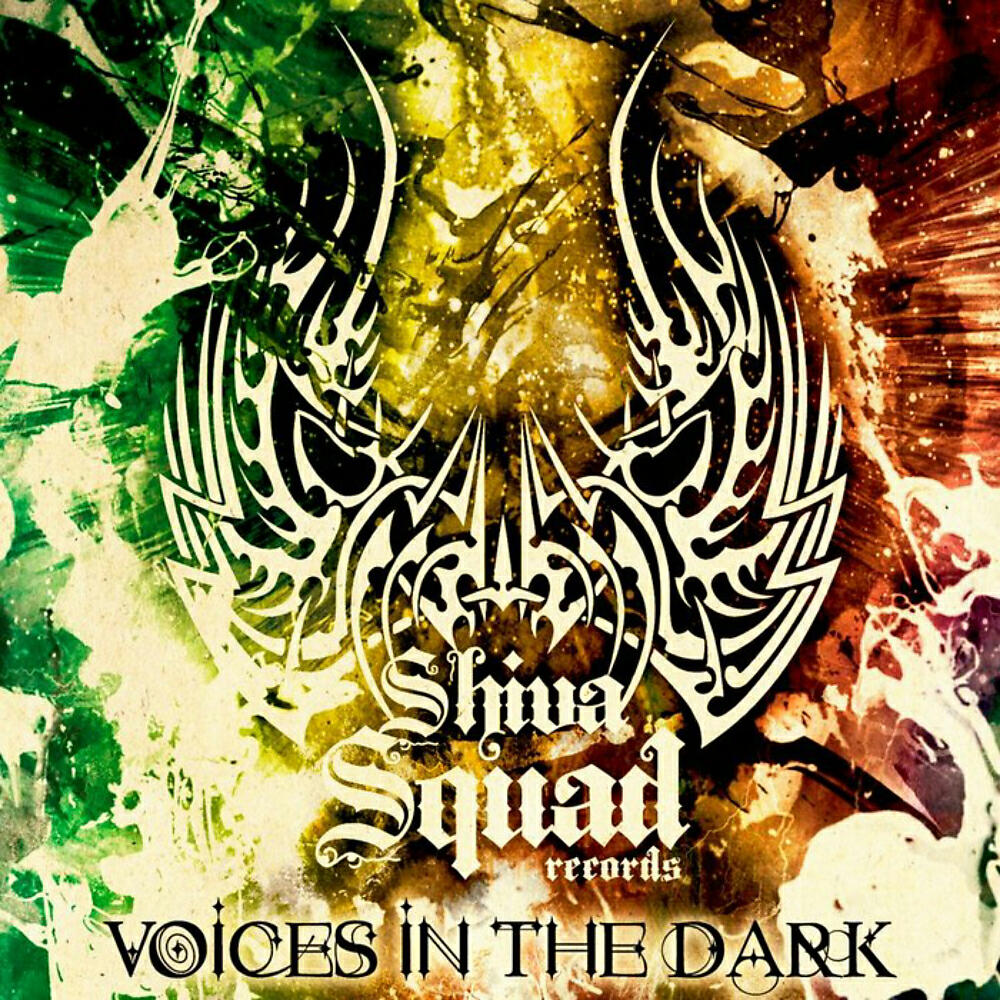 Постер альбома Voices In The Dark