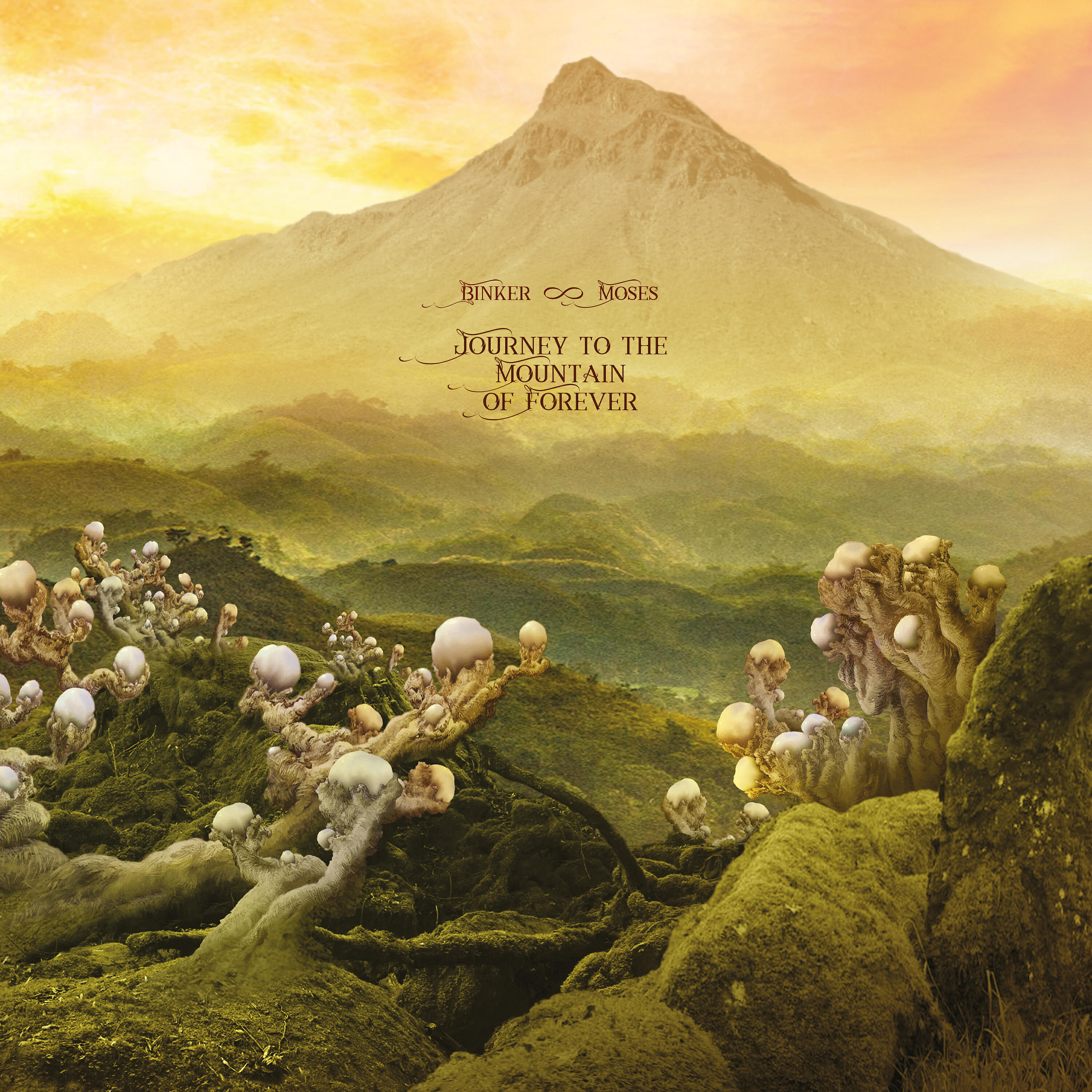 Релиз Intoxication from the Jahvmonisi Leaves