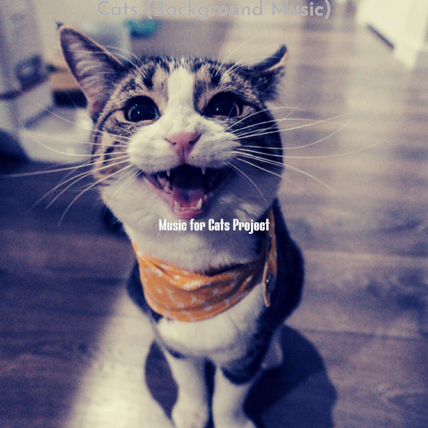 Релиз Cats (Background Music)