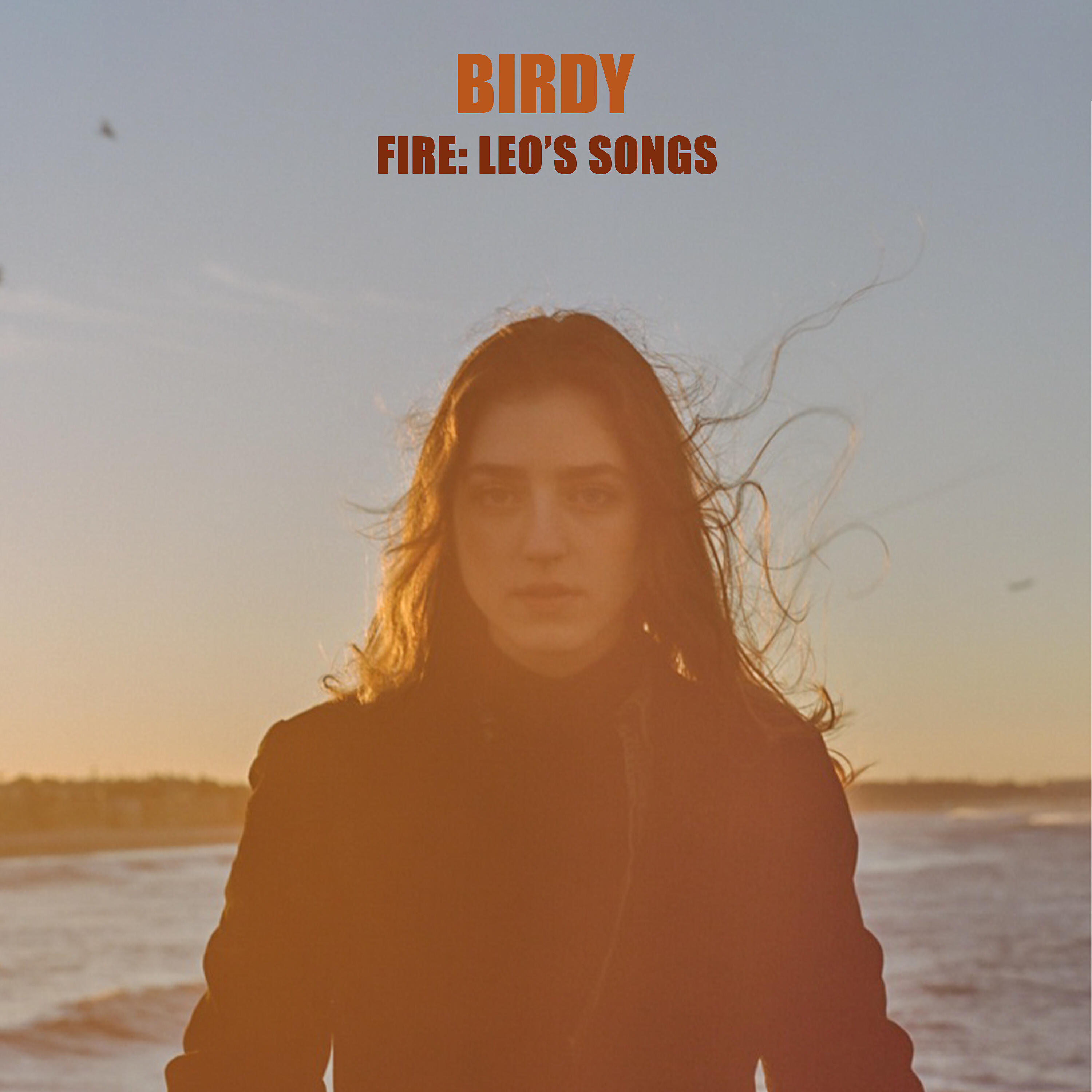 Релиз Fire: Leo's Songs