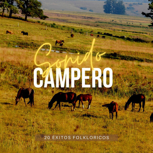 Релиз Sonido Campero