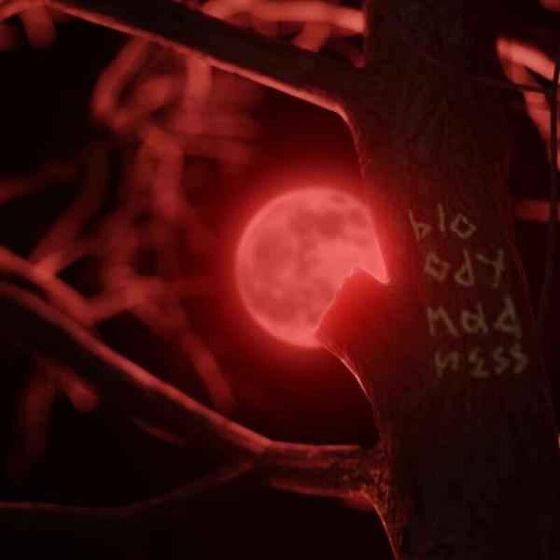 Релиз Bloody Madness