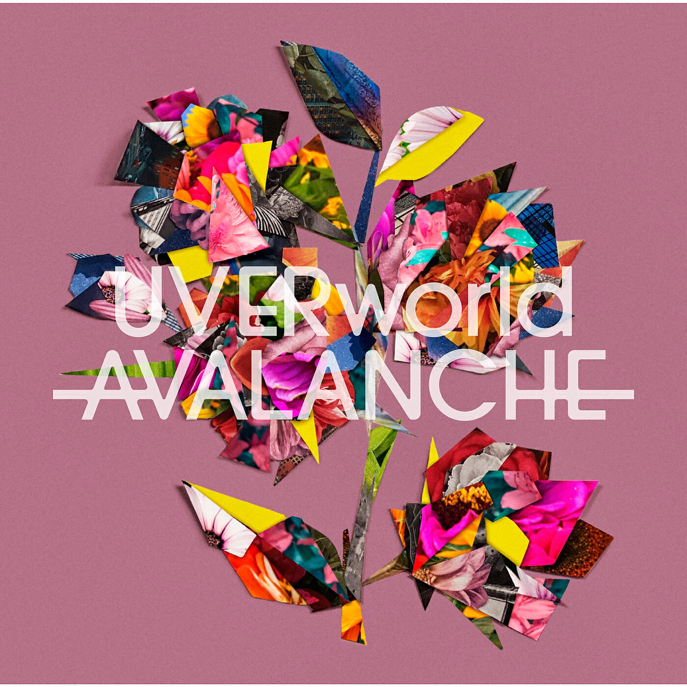 Релиз AVALANCHE