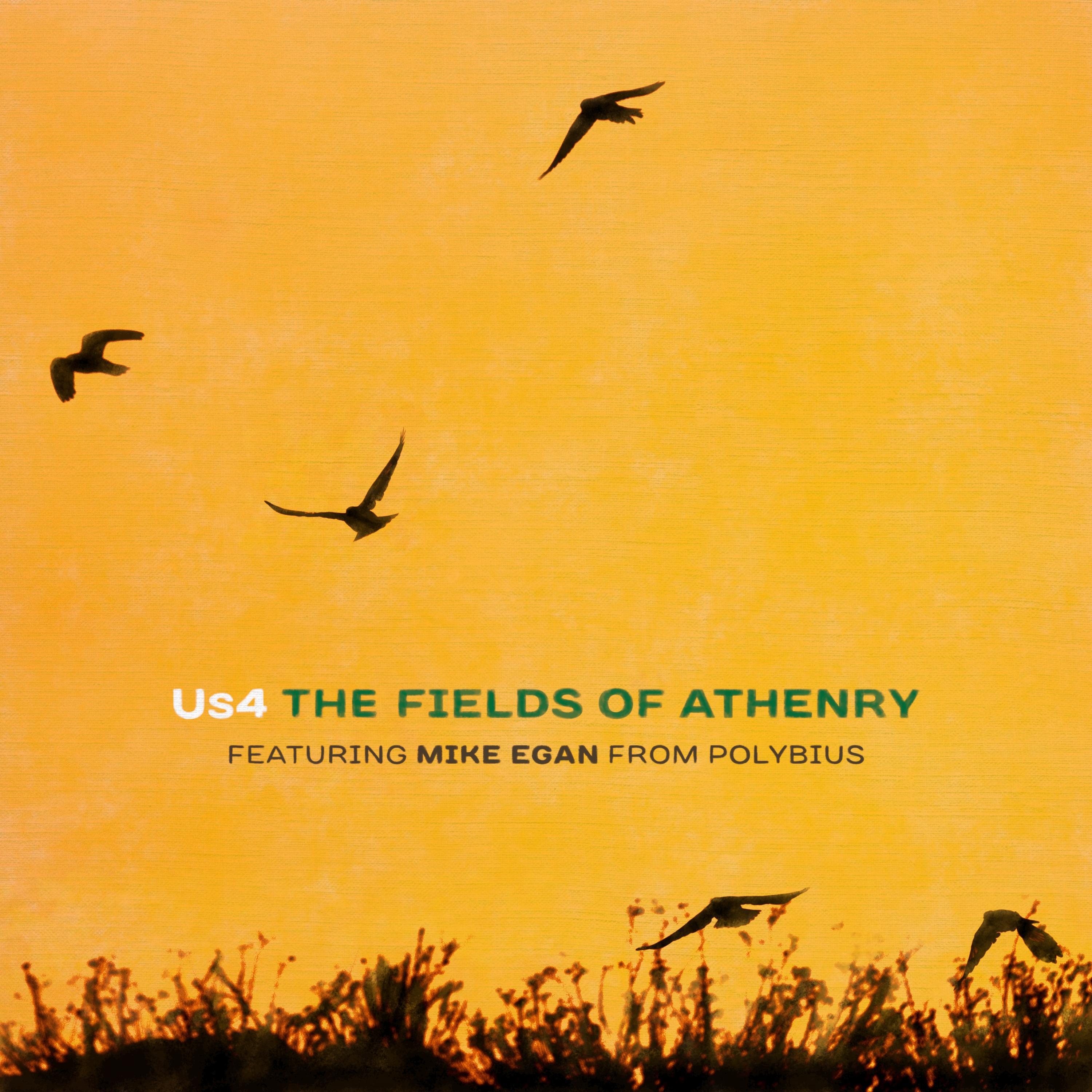 Релиз The Fields of Athenry