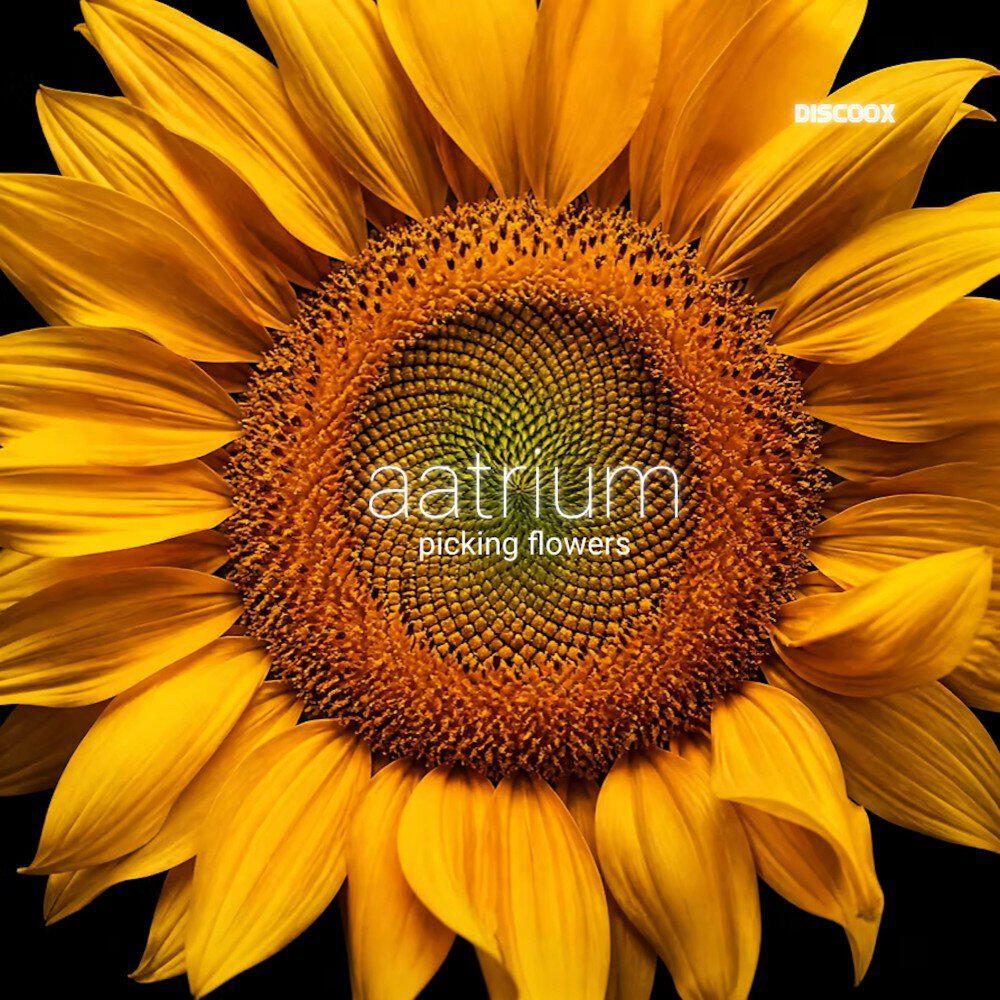 aatrium