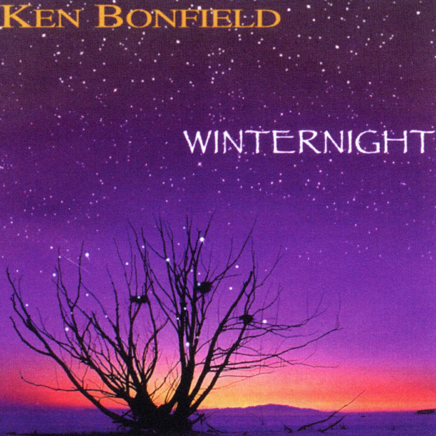 Релиз Winternight