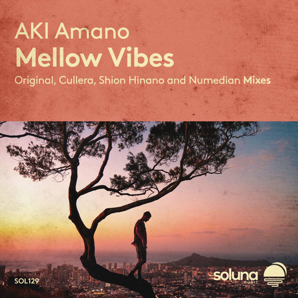 Релиз Mellow Vibes