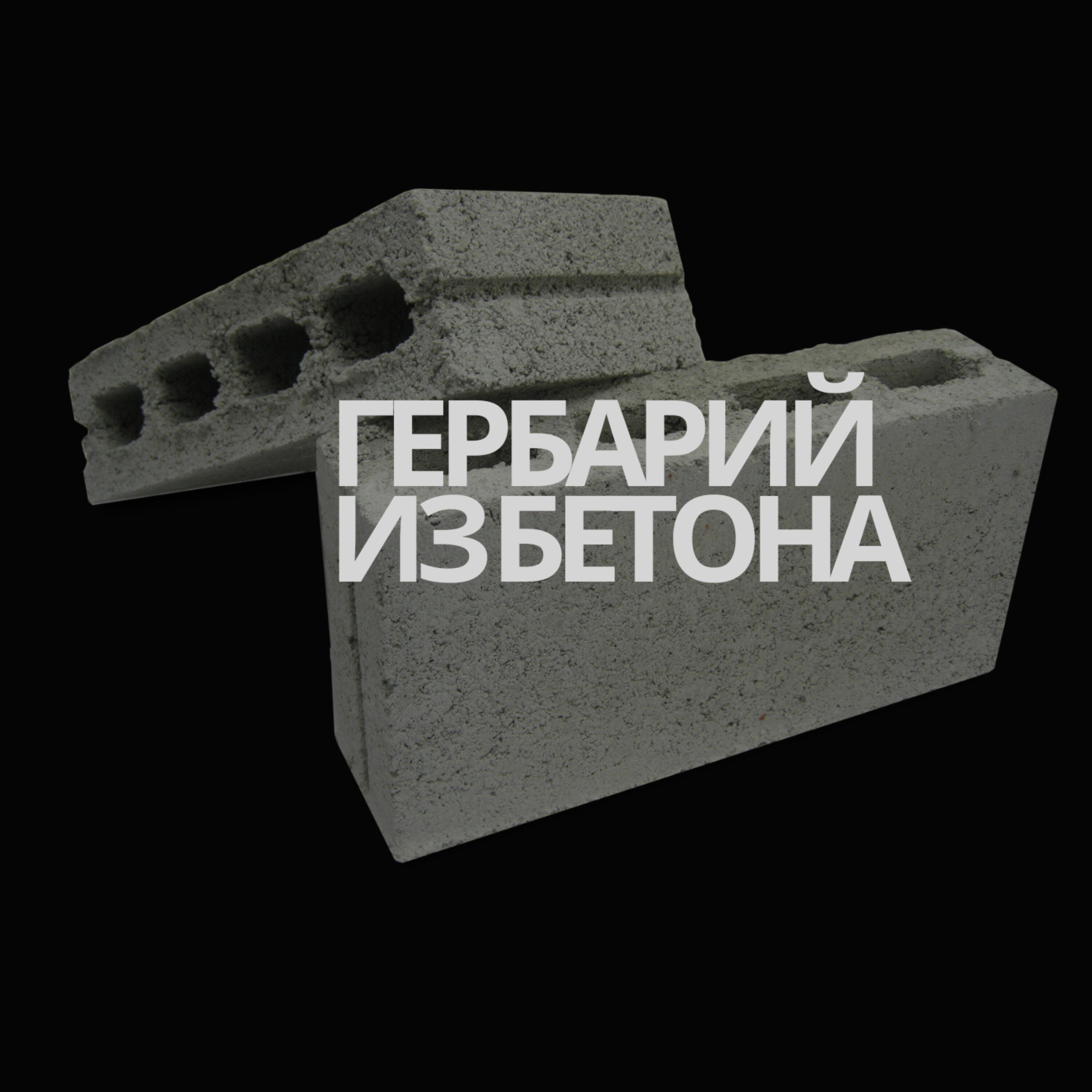 Релиз ГЕРБАРИЙ ИЗ БЕТОНА