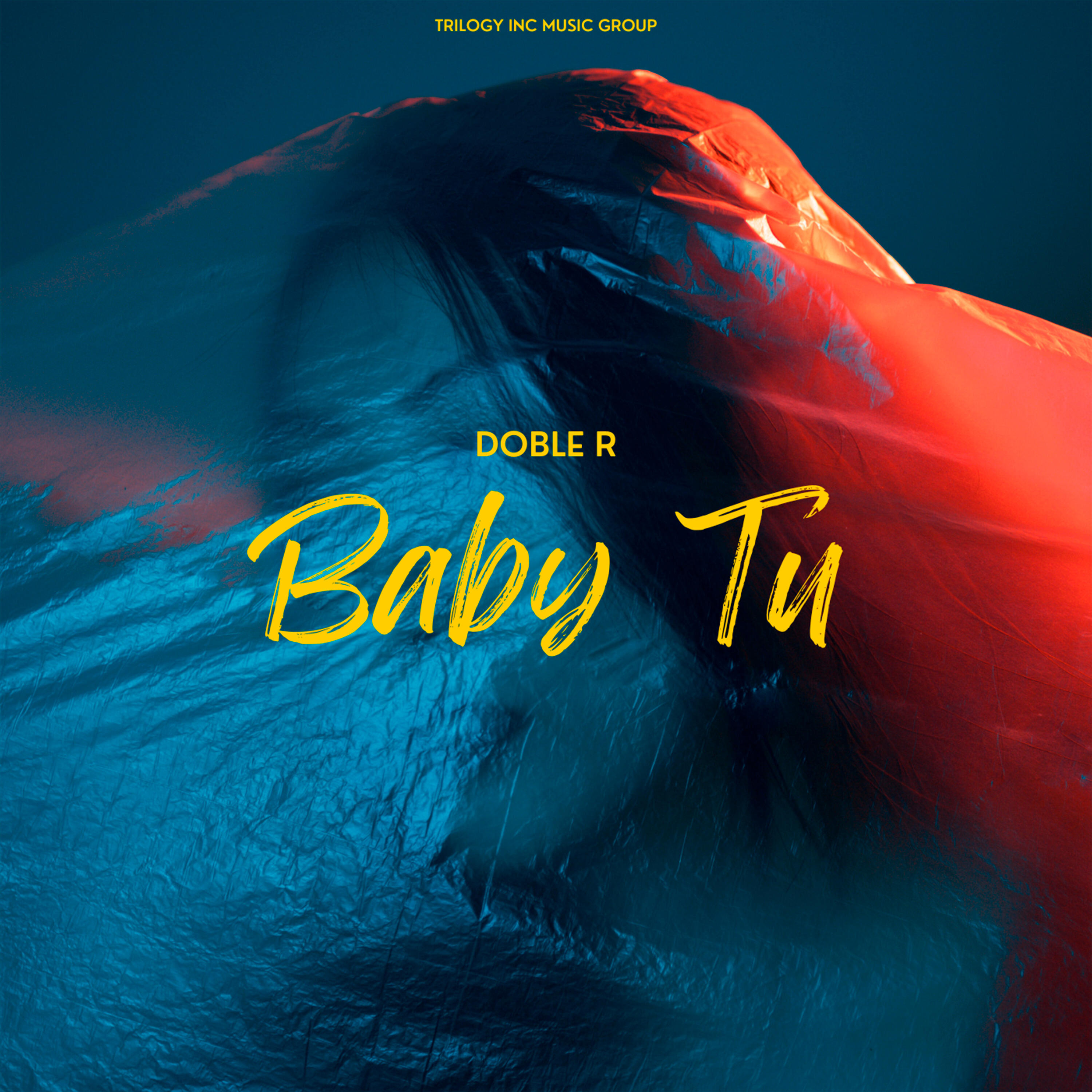 Постер альбома Baby Tu