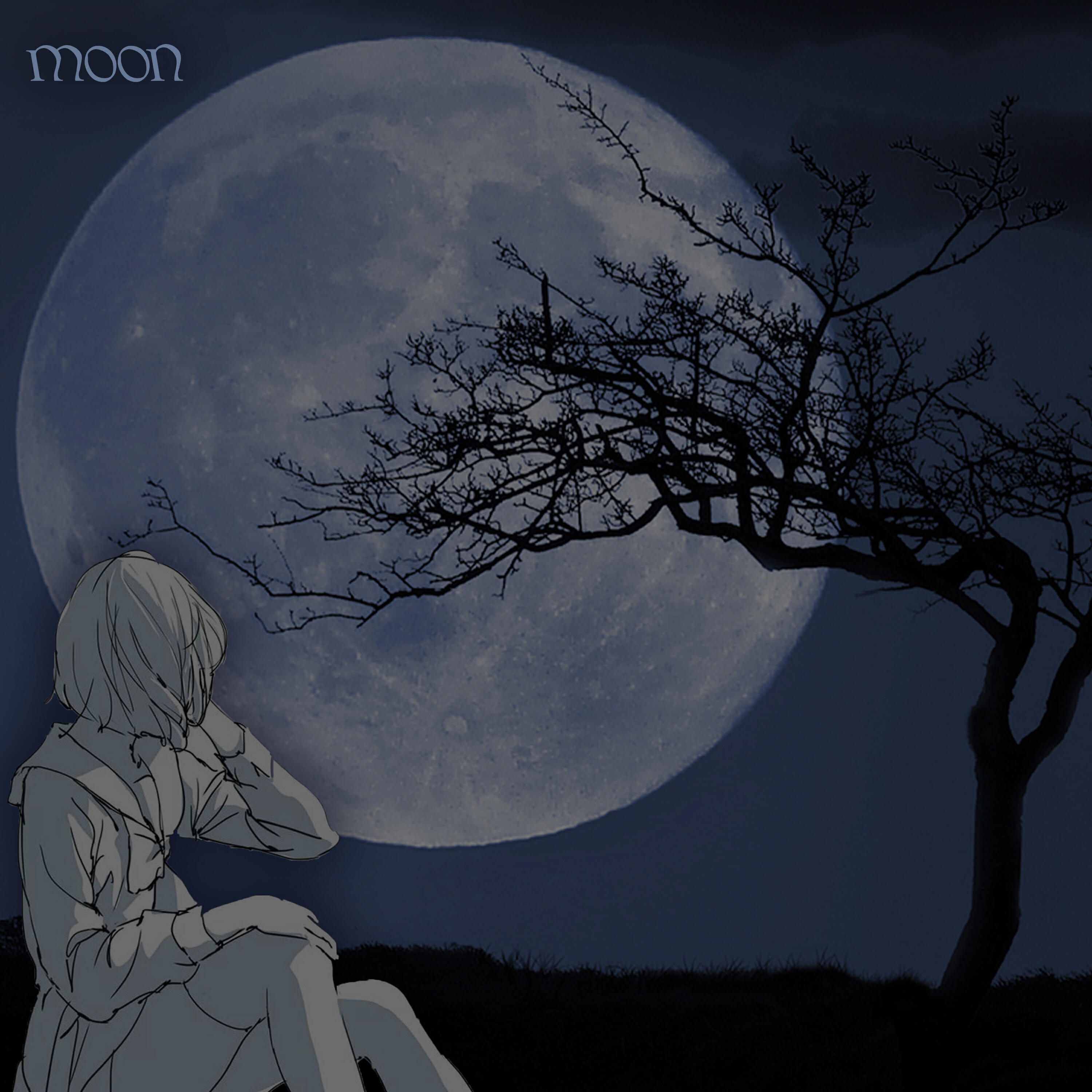 Релиз Moon