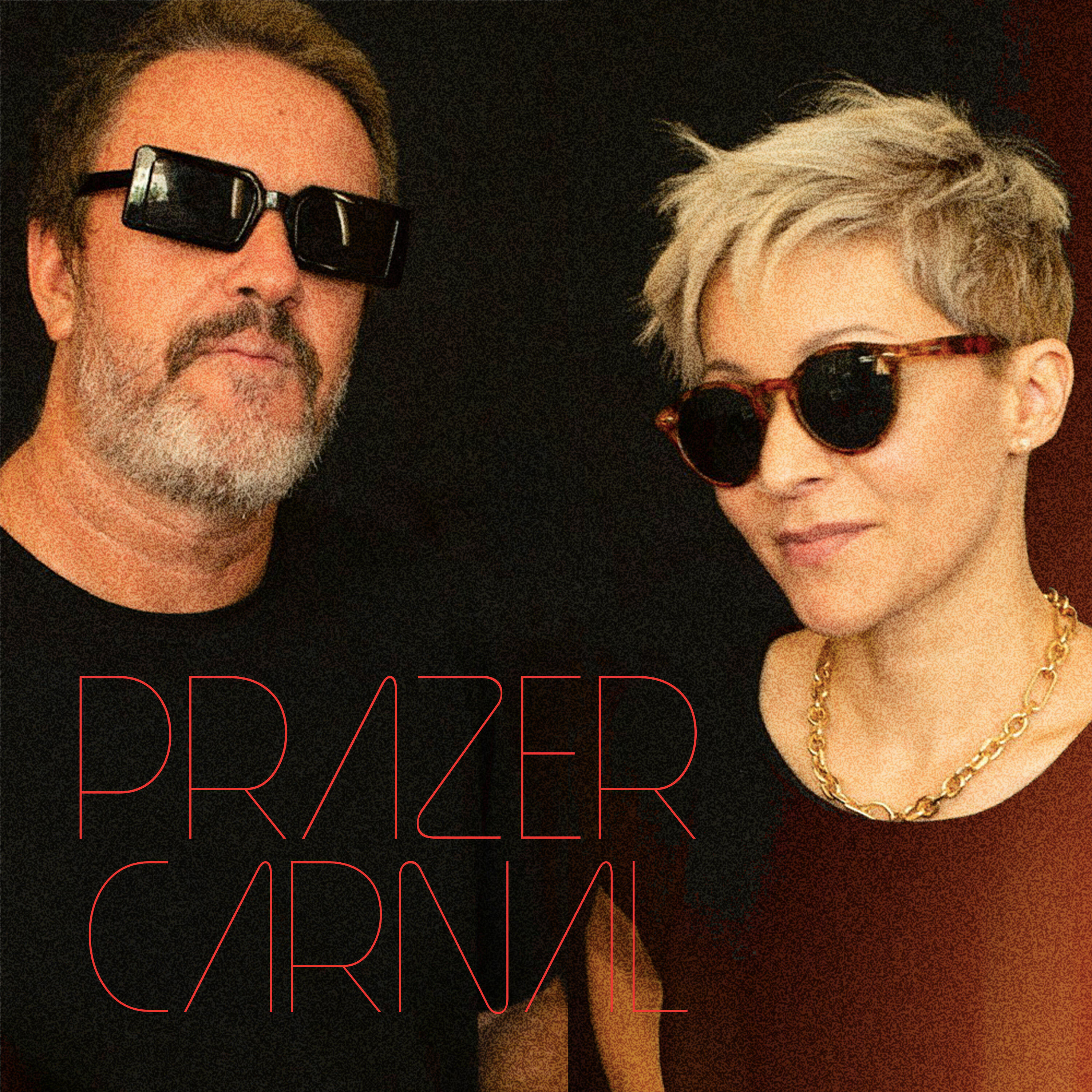 Постер альбома Prazer Carnal