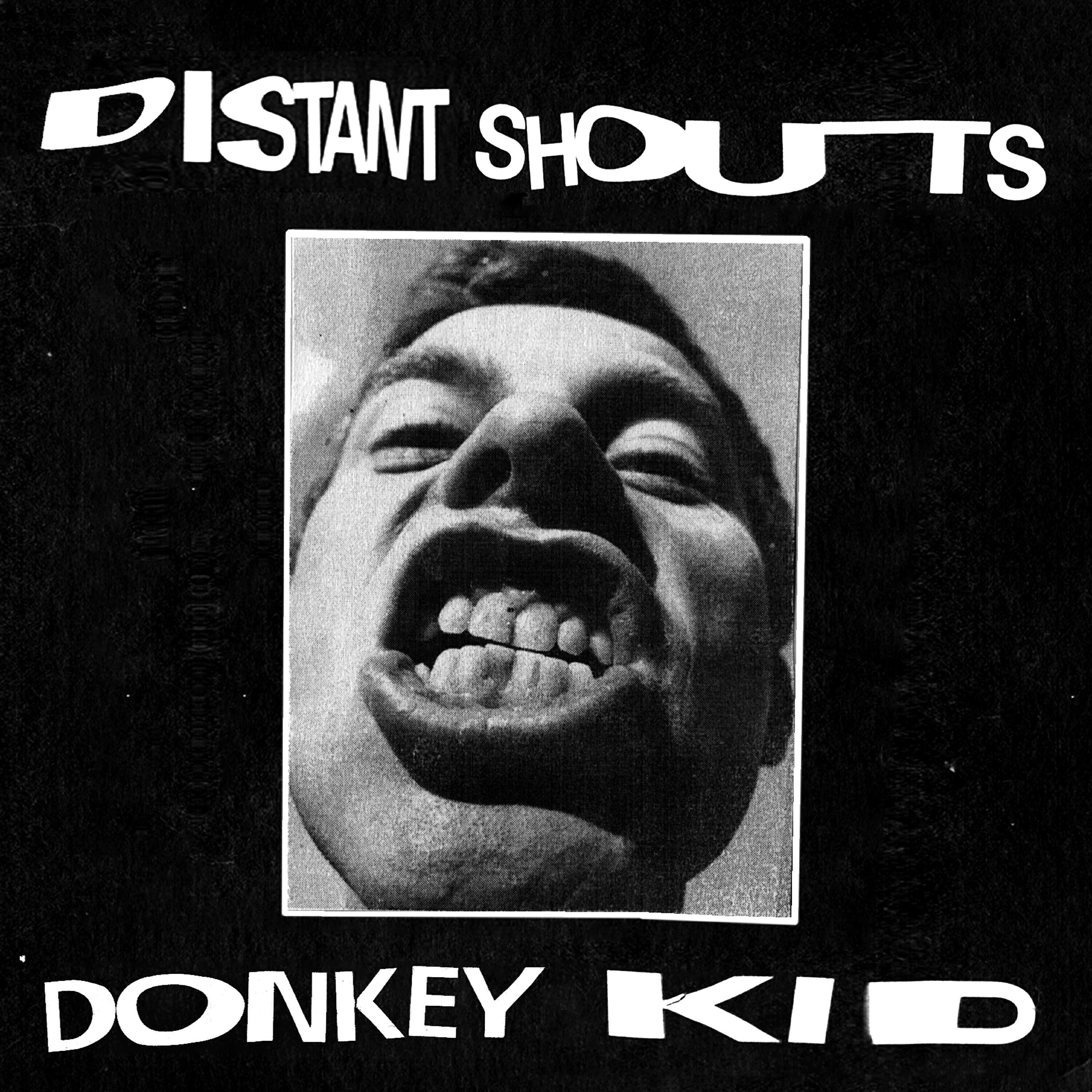 Donkey Kid