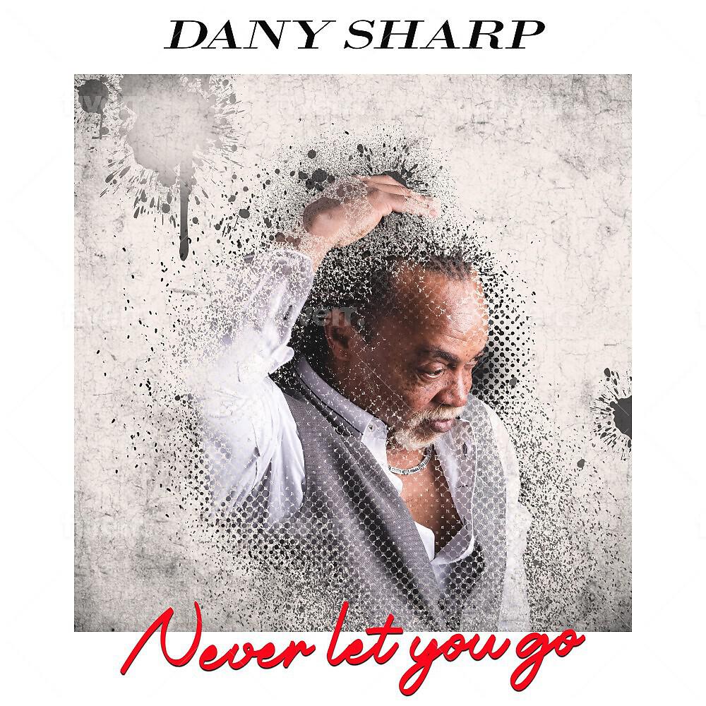 Релиз Never Let You Go