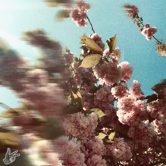 Релиз known by you