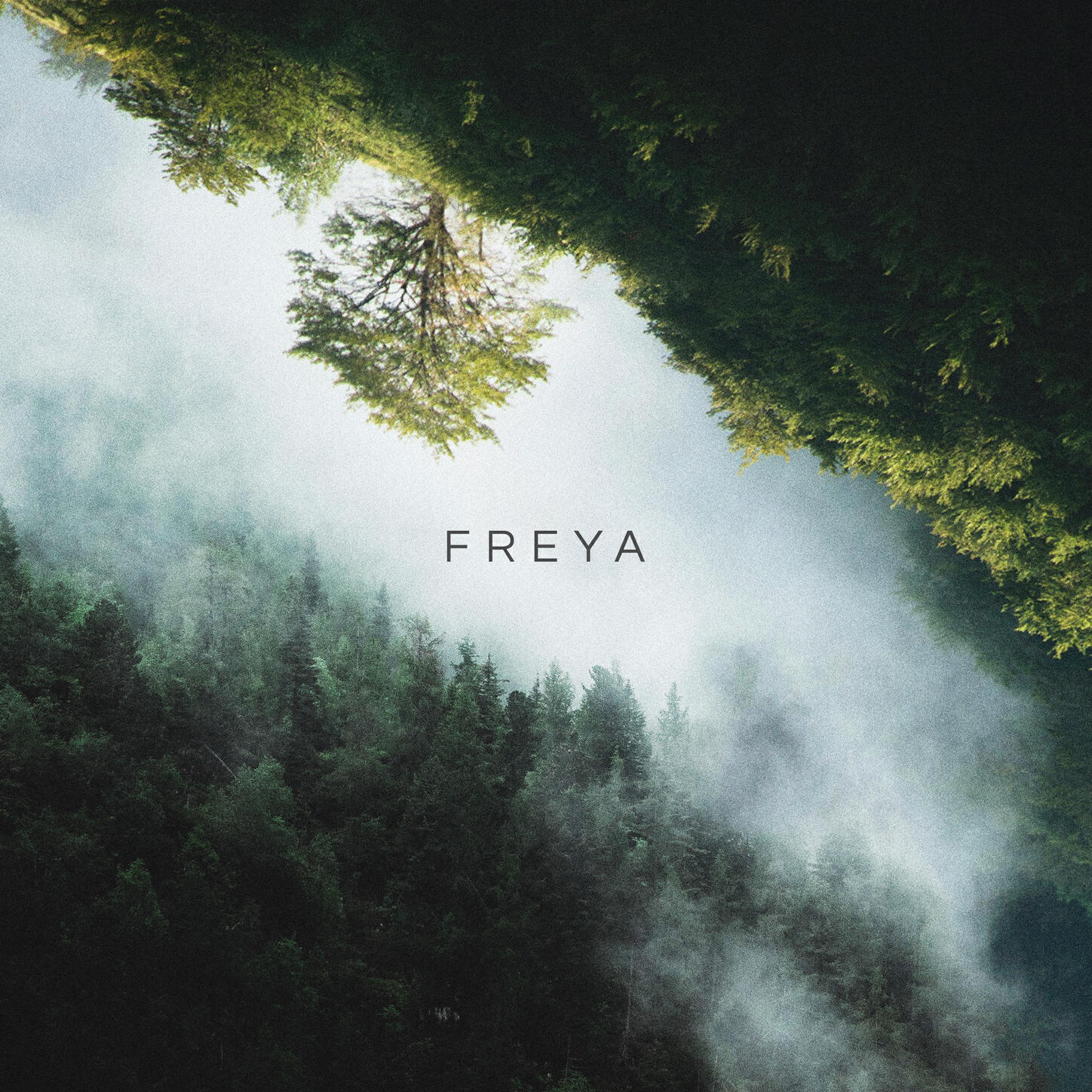 Релиз Freya