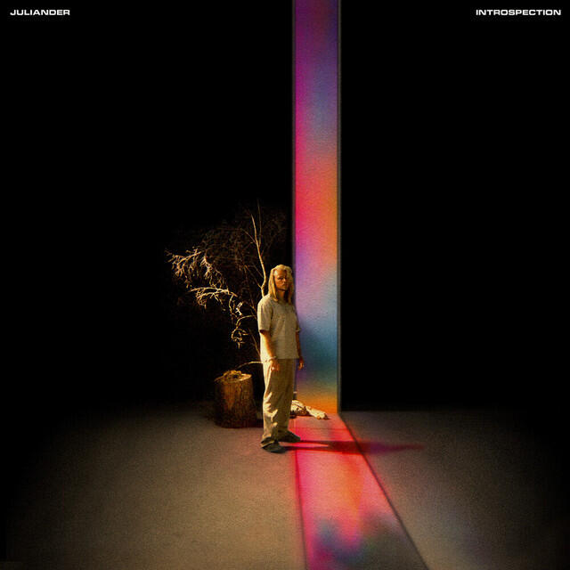Релиз Introspection