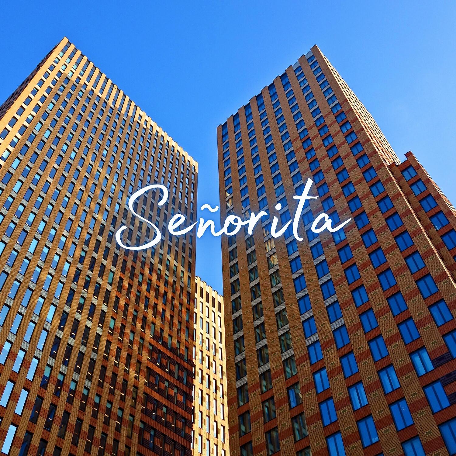 Релиз Señorita (Slowed)