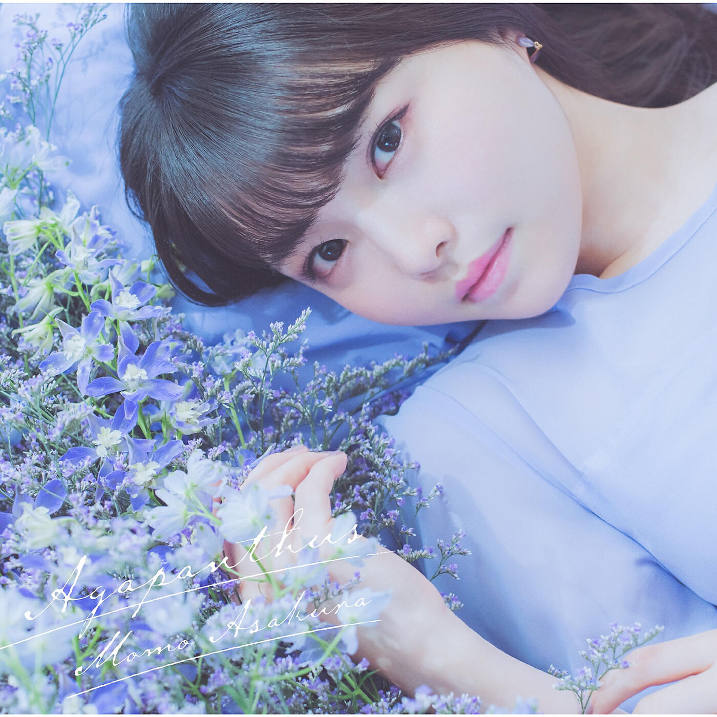 Релиз Agapanthus