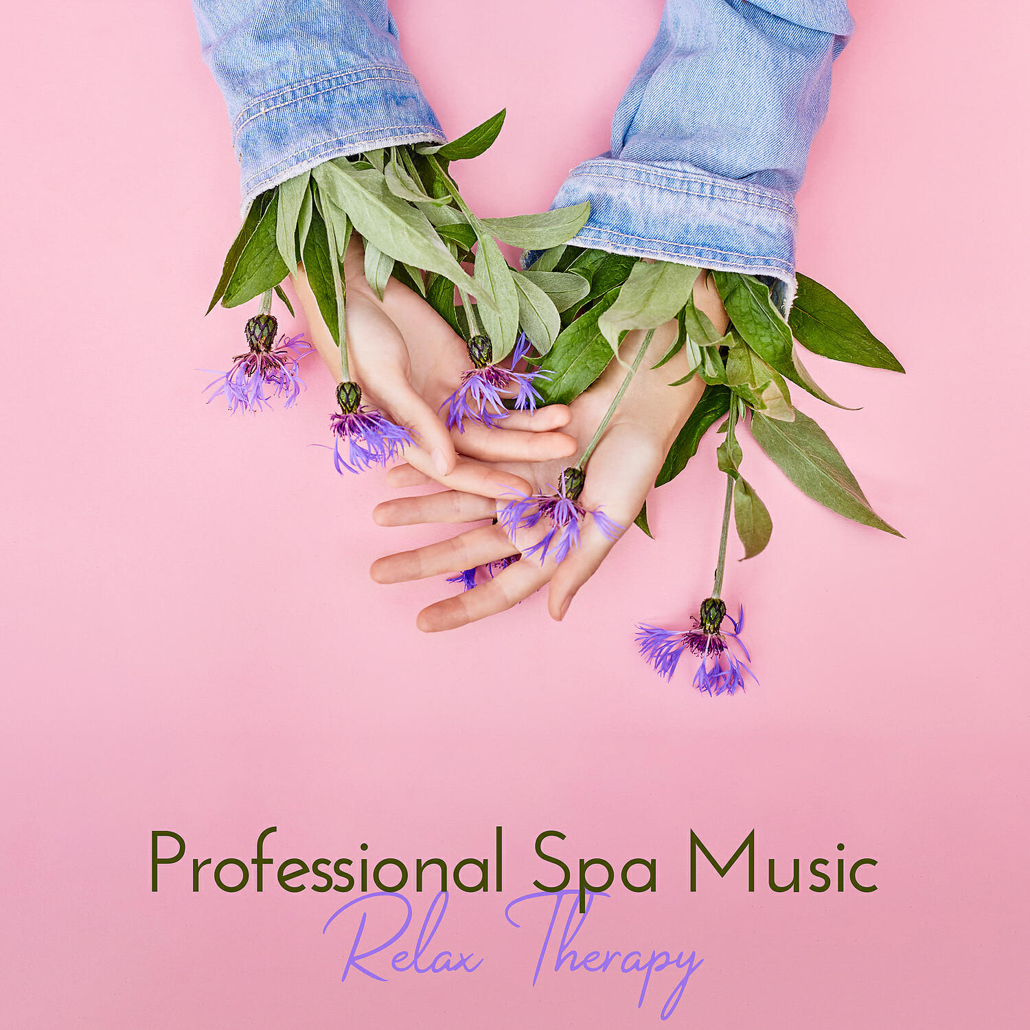 Релиз Professional Spa Music – Relax Therapy