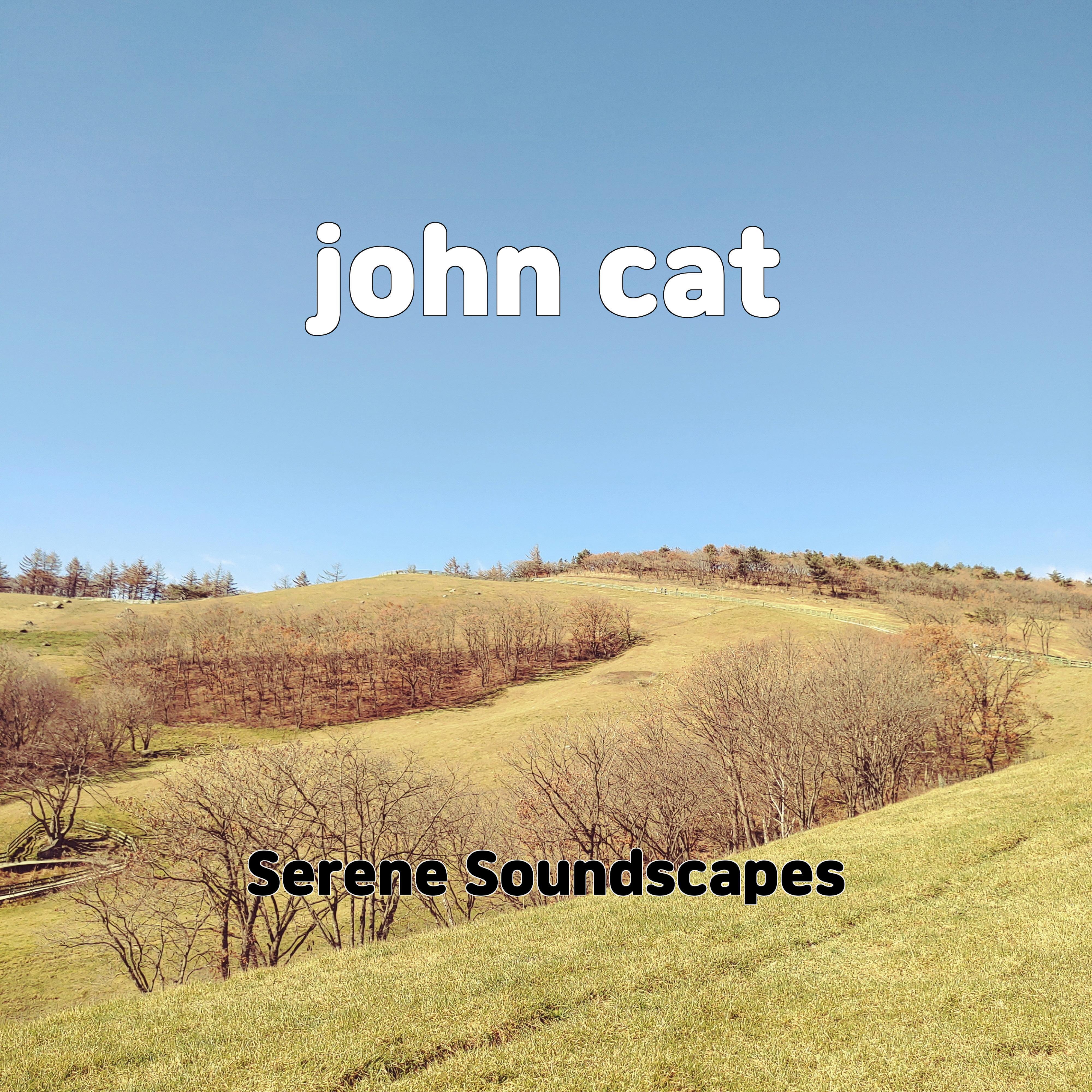 Постер альбома john cat