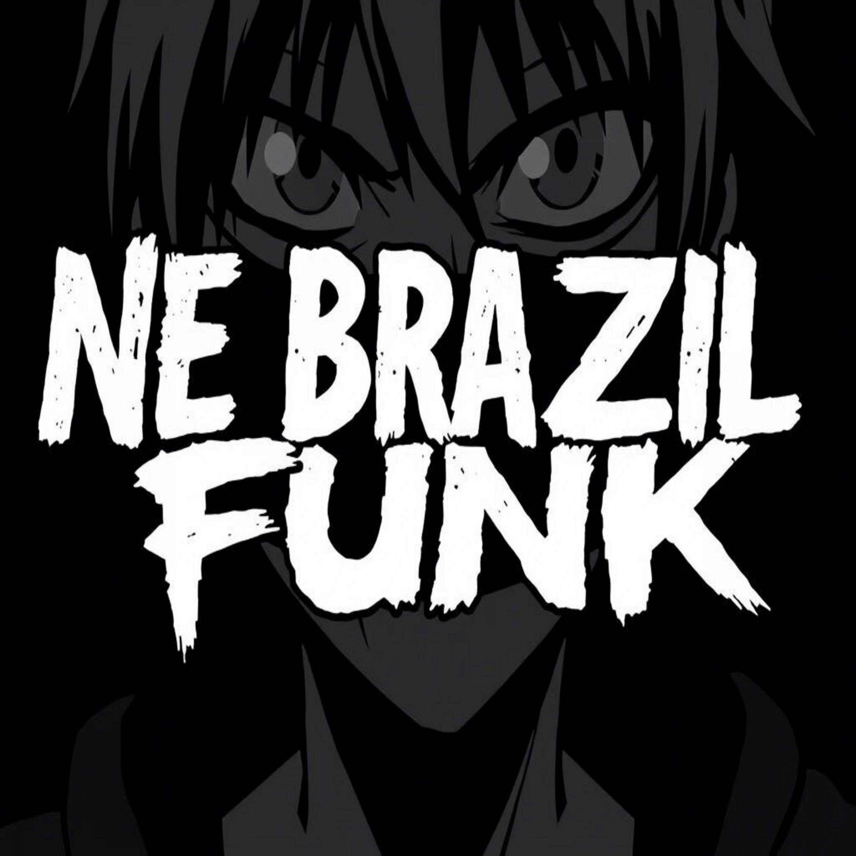 Релиз NE BRAZIL FUNK