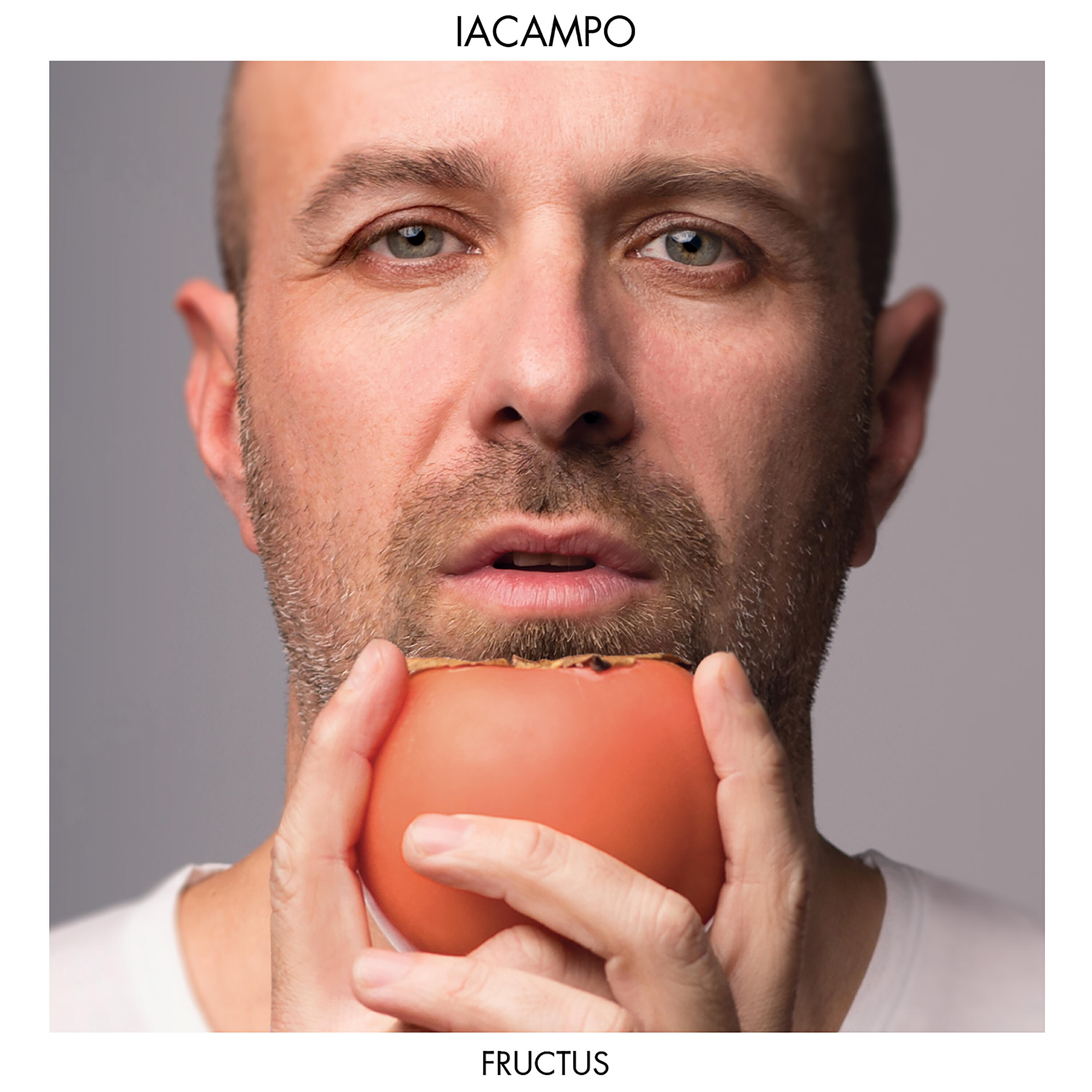 Релиз Fructus