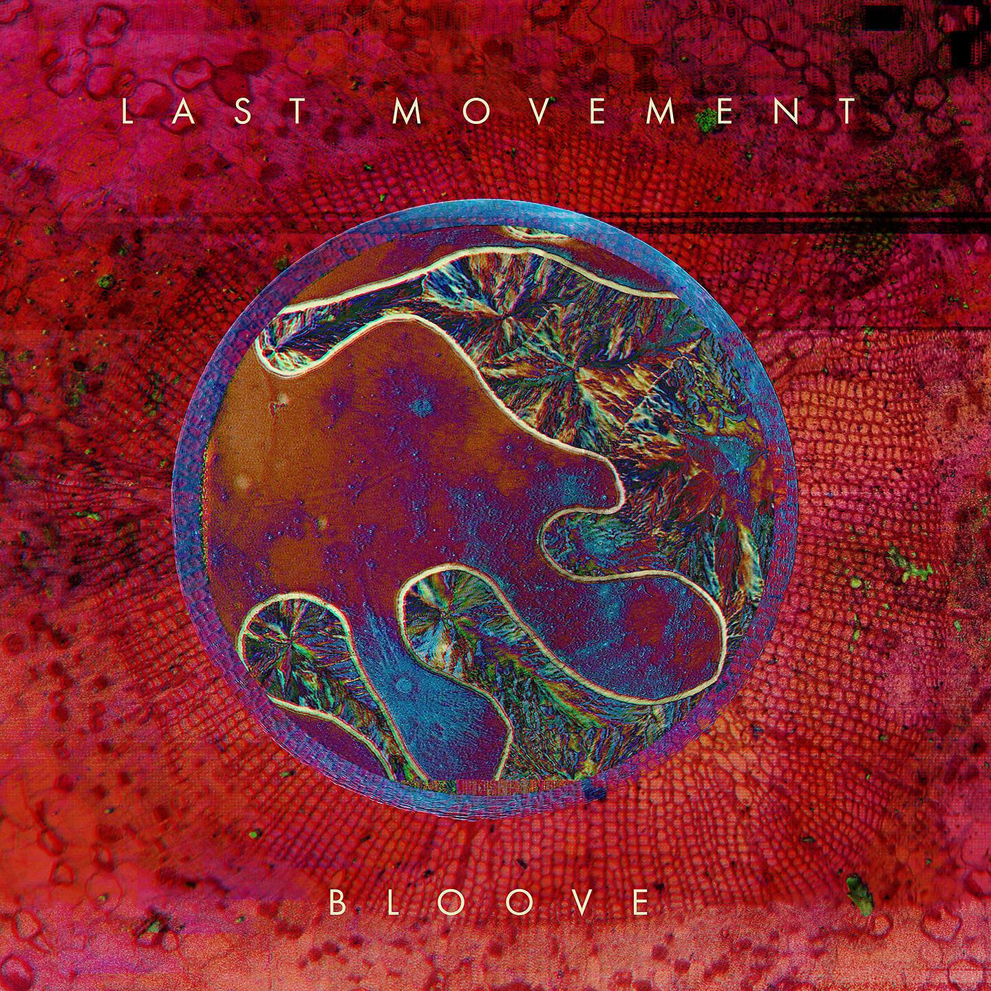 Релиз Bloove