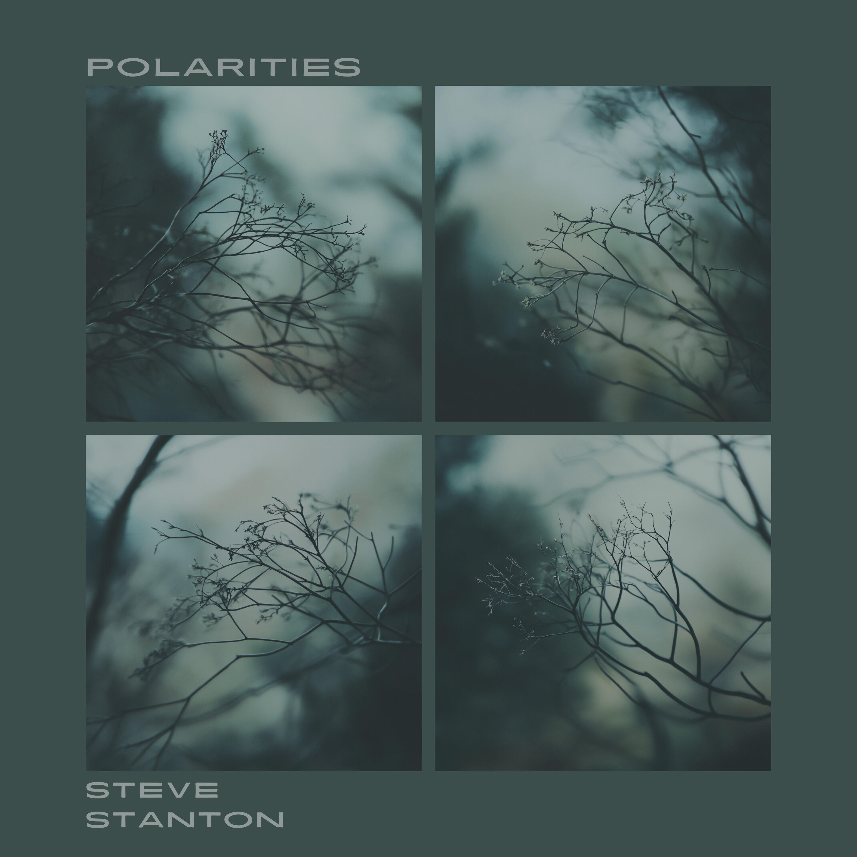 Релиз Polarities