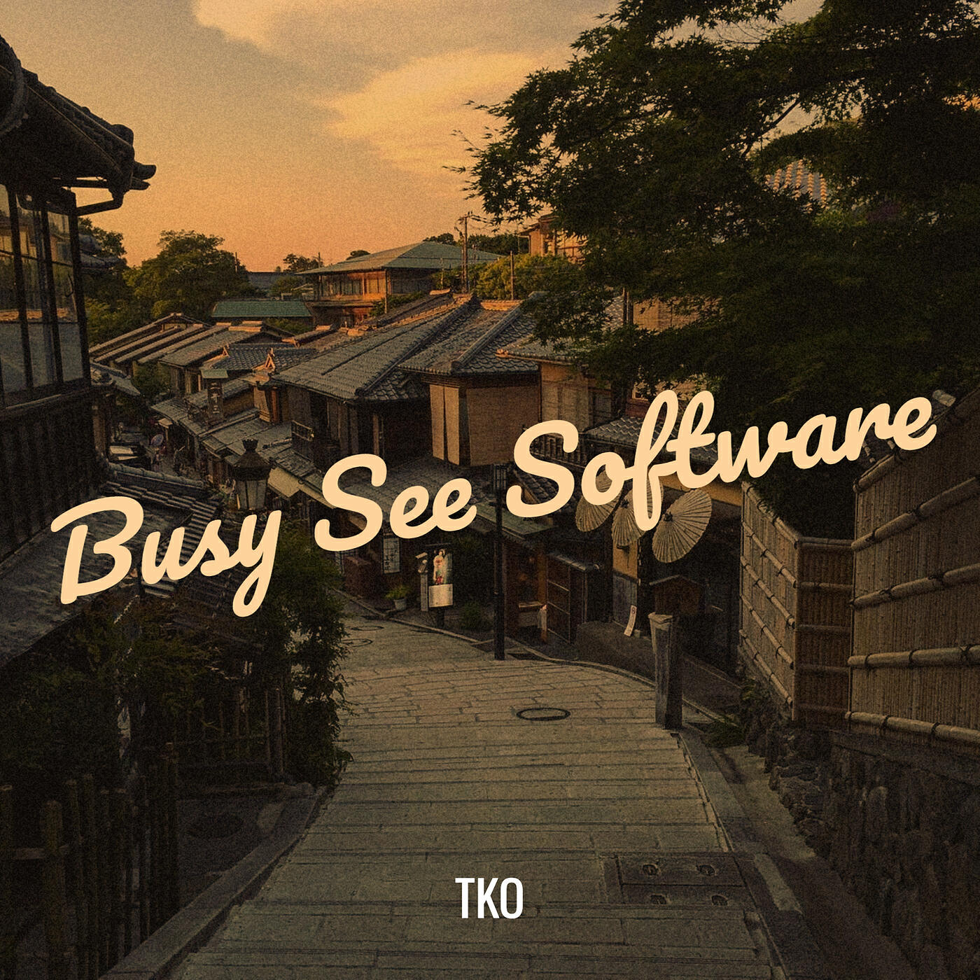 Релиз Busy See Software