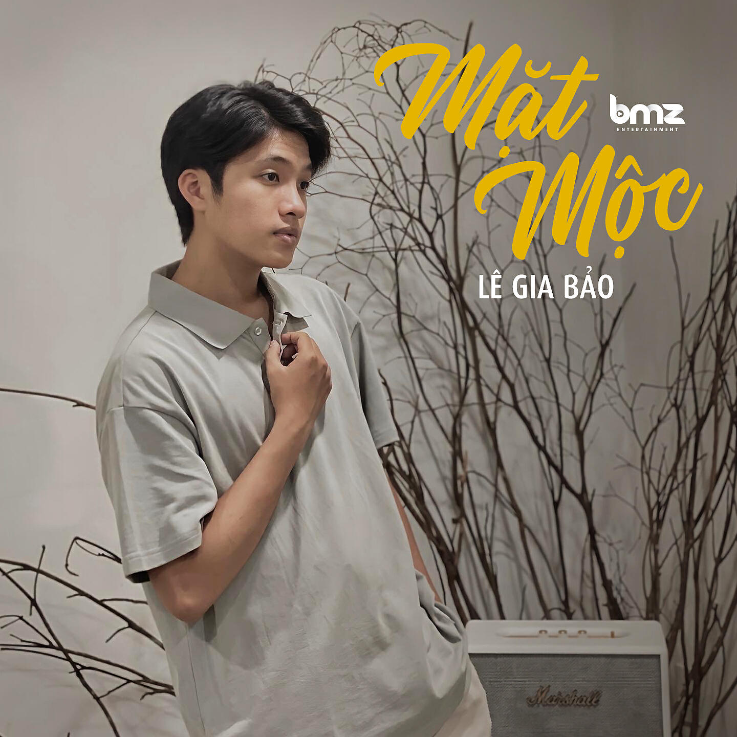 Релиз Mặt Mộc