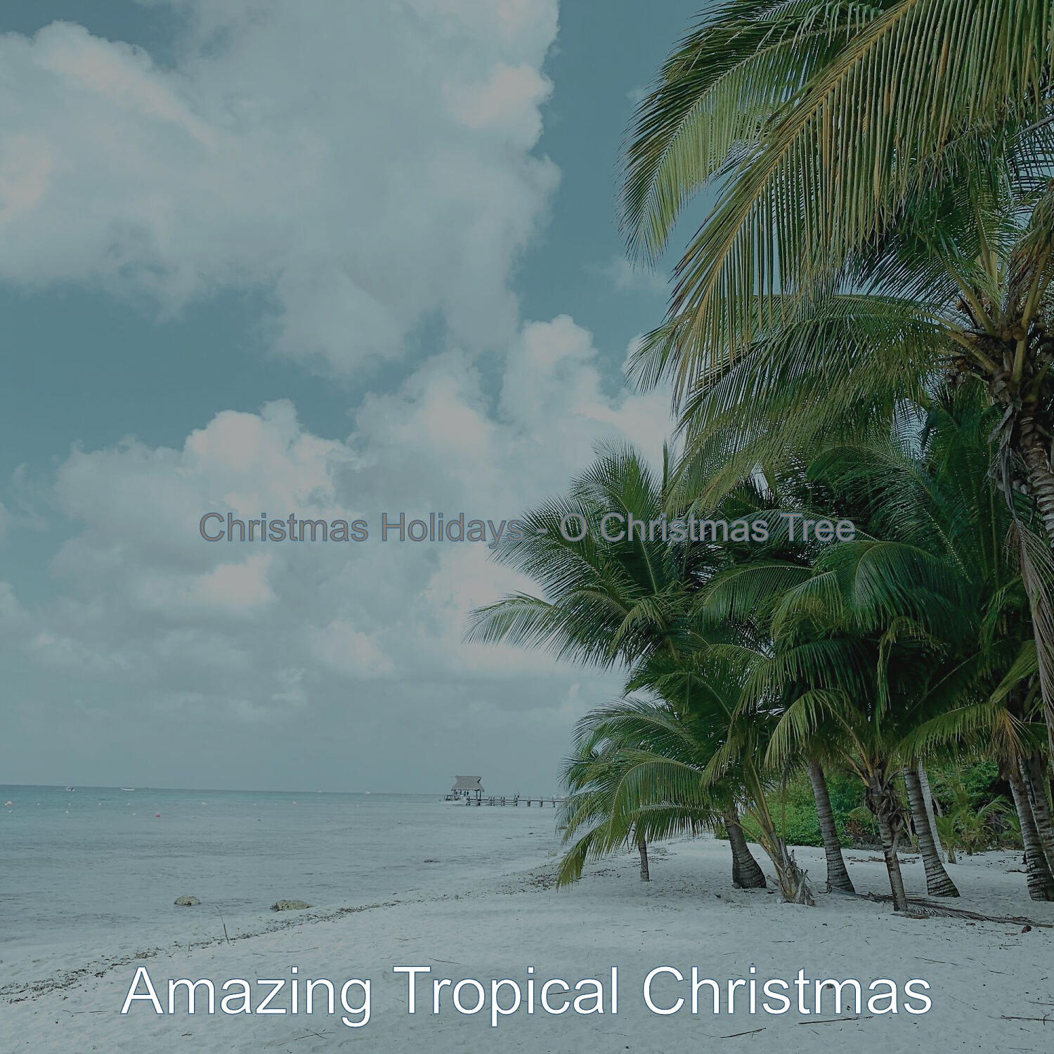 Amazing Tropical Christmas