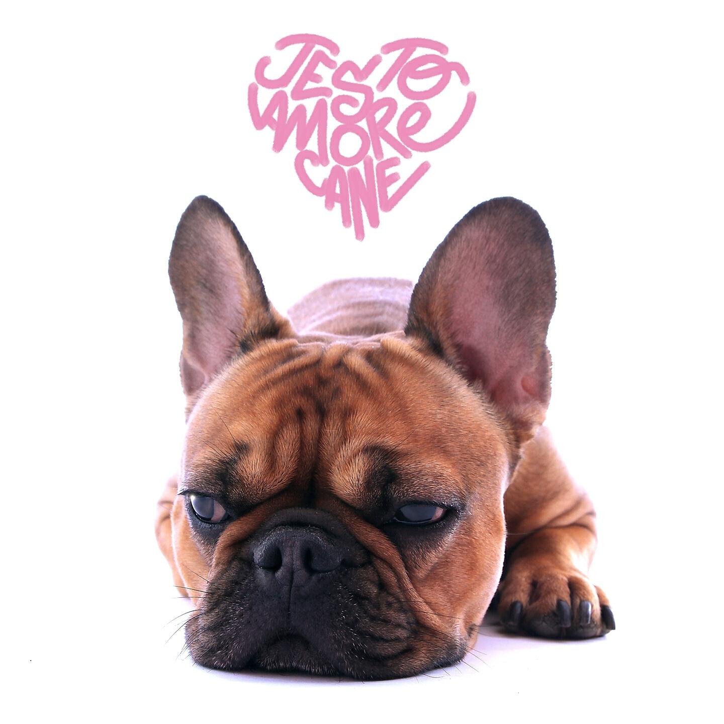 Релиз Amore cane