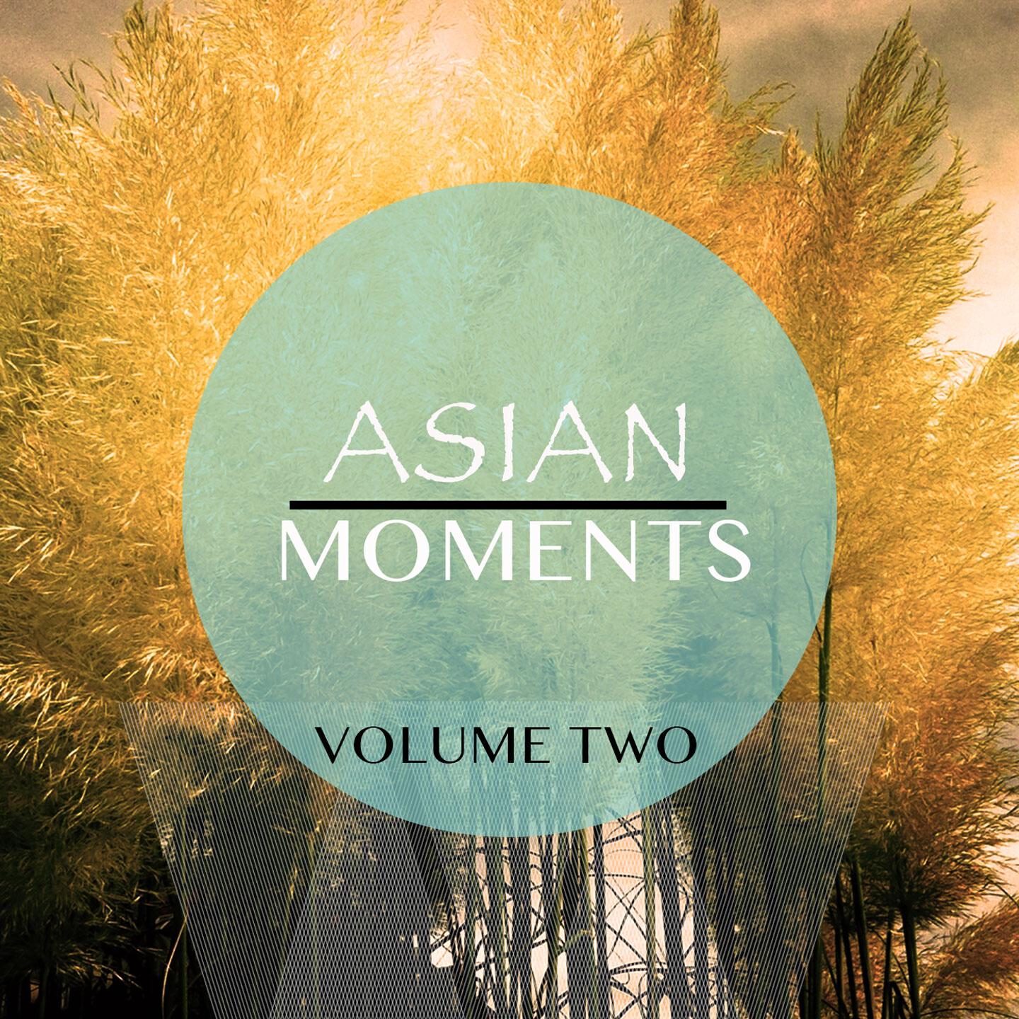 Релиз Asian Moments, Vol. 2